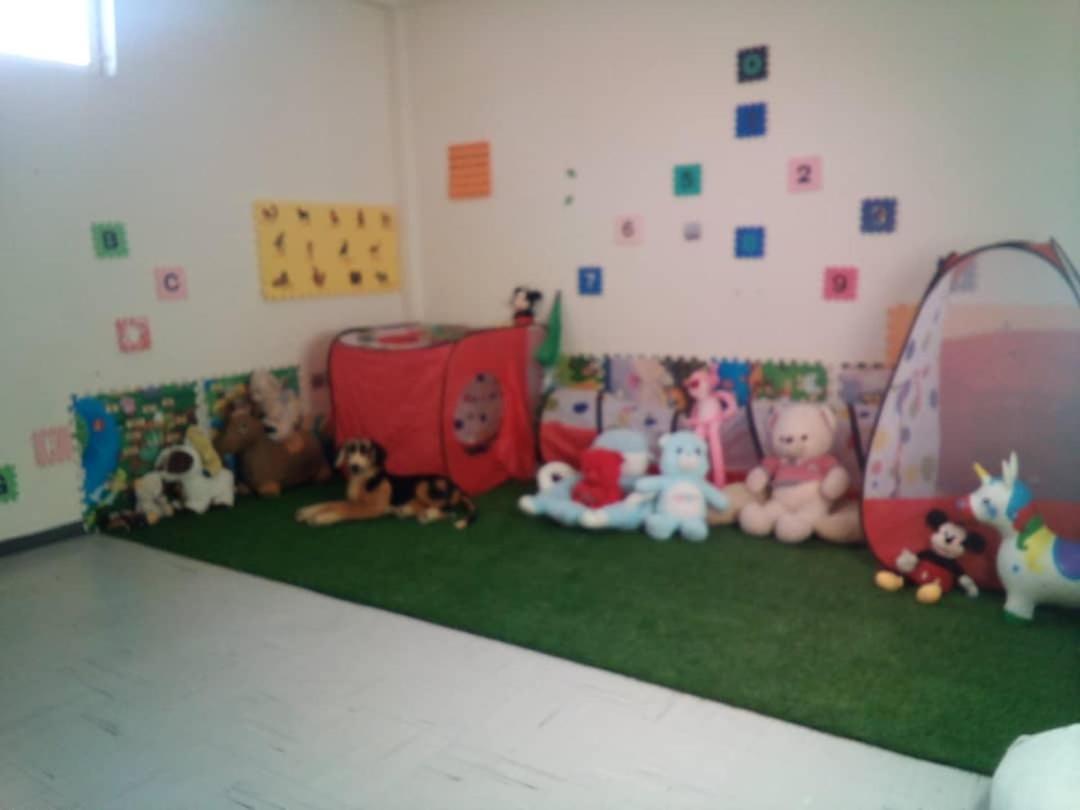 Photo 15