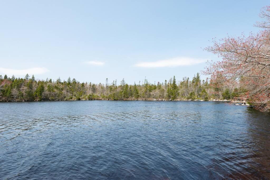 Private Lakefront Escape - Swim, Sip Wine & Stargaze