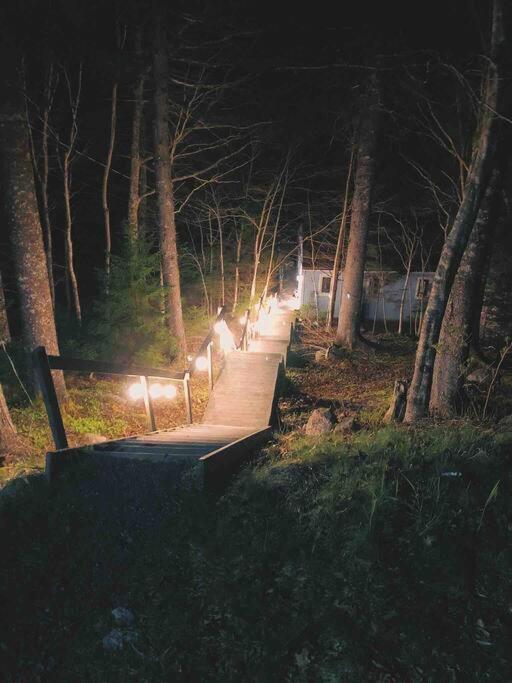 Private Lakefront Escape - Swim, Sip Wine & Stargaze