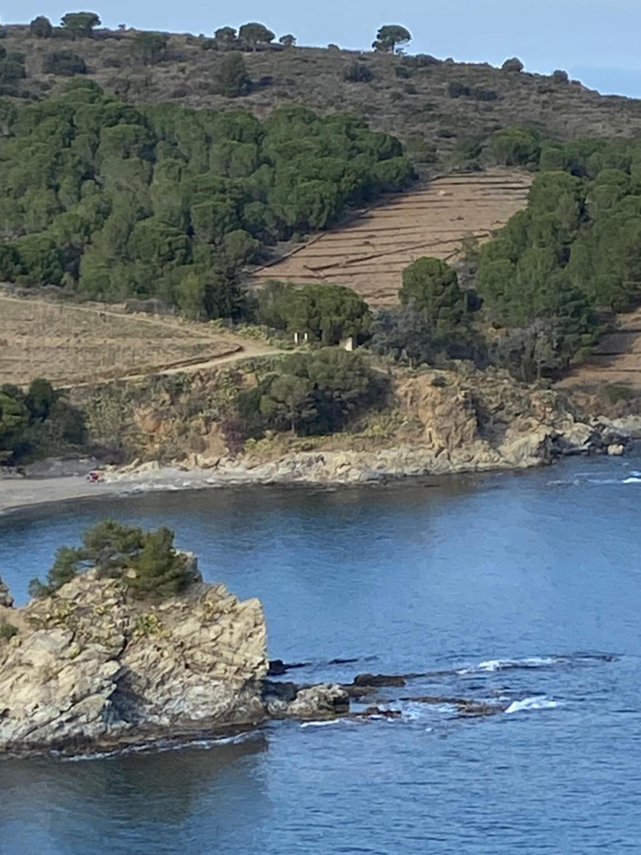 Profitez De La Vue !, photo 3