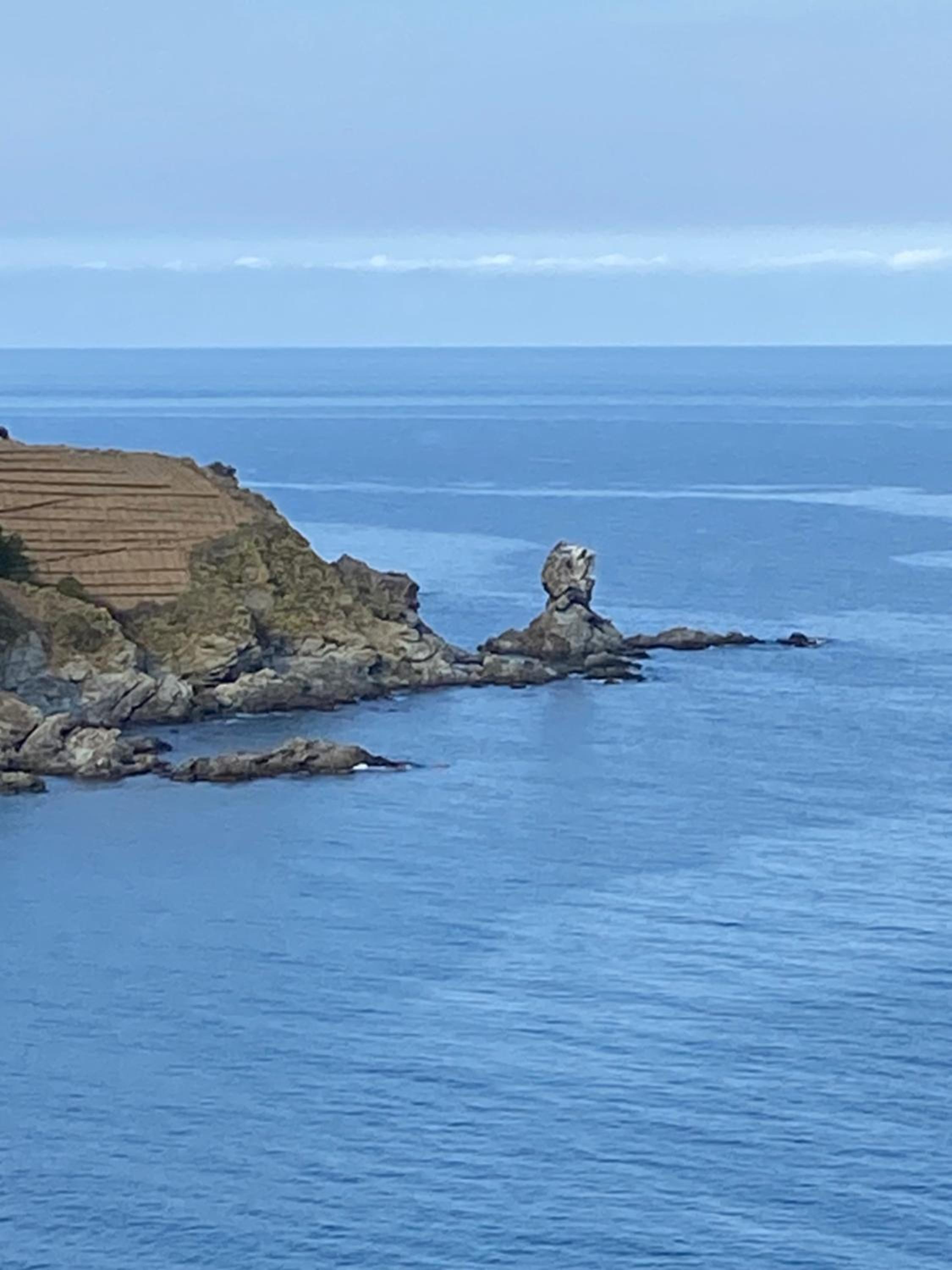 Profitez De La Vue !, photo 39
