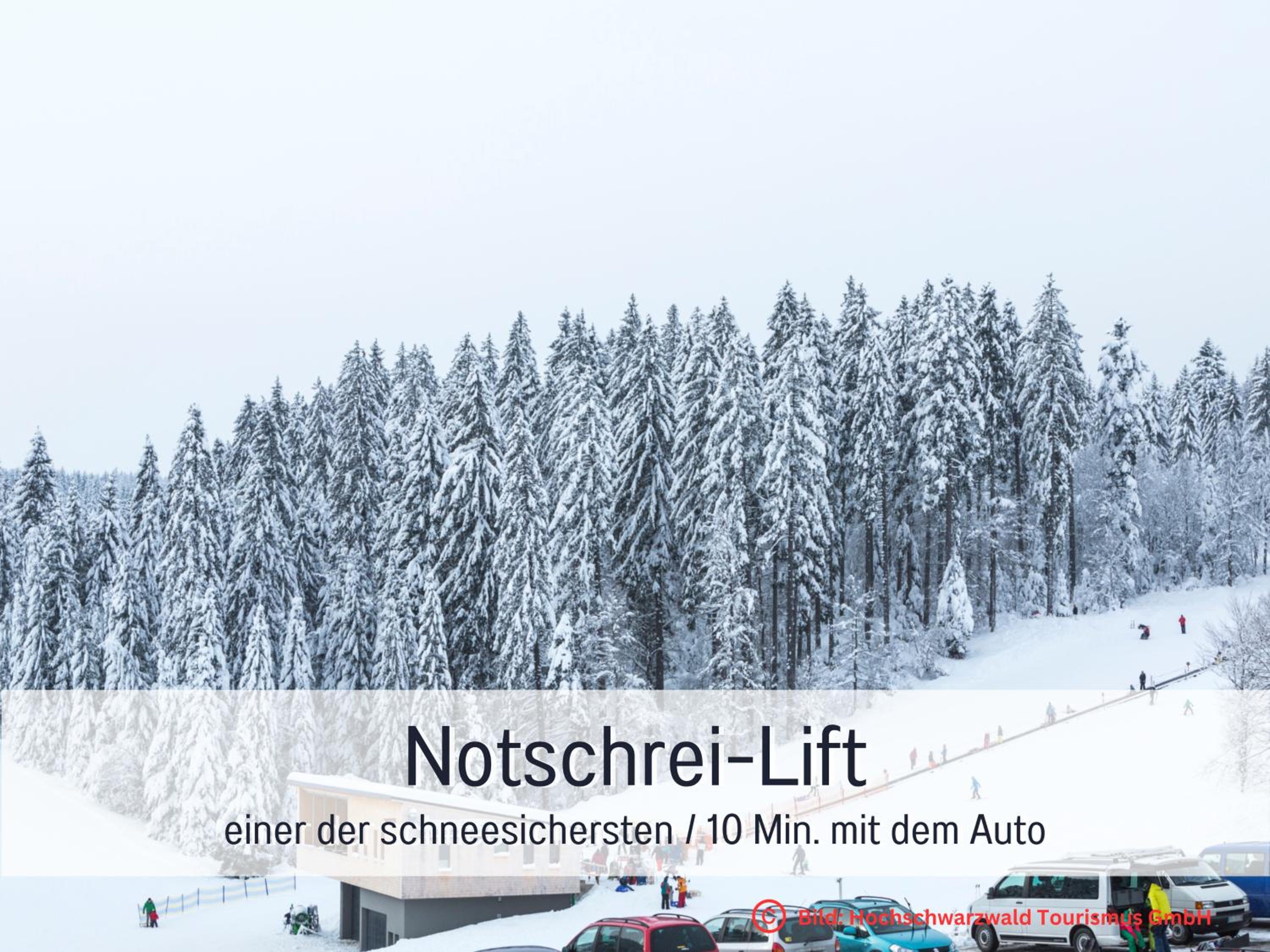 NATURVERLIEBT by Schwarzwaldquartier zu Fuß zu Skilift und Loipe Sauna im Haus Spielzimmer Tiefgarage