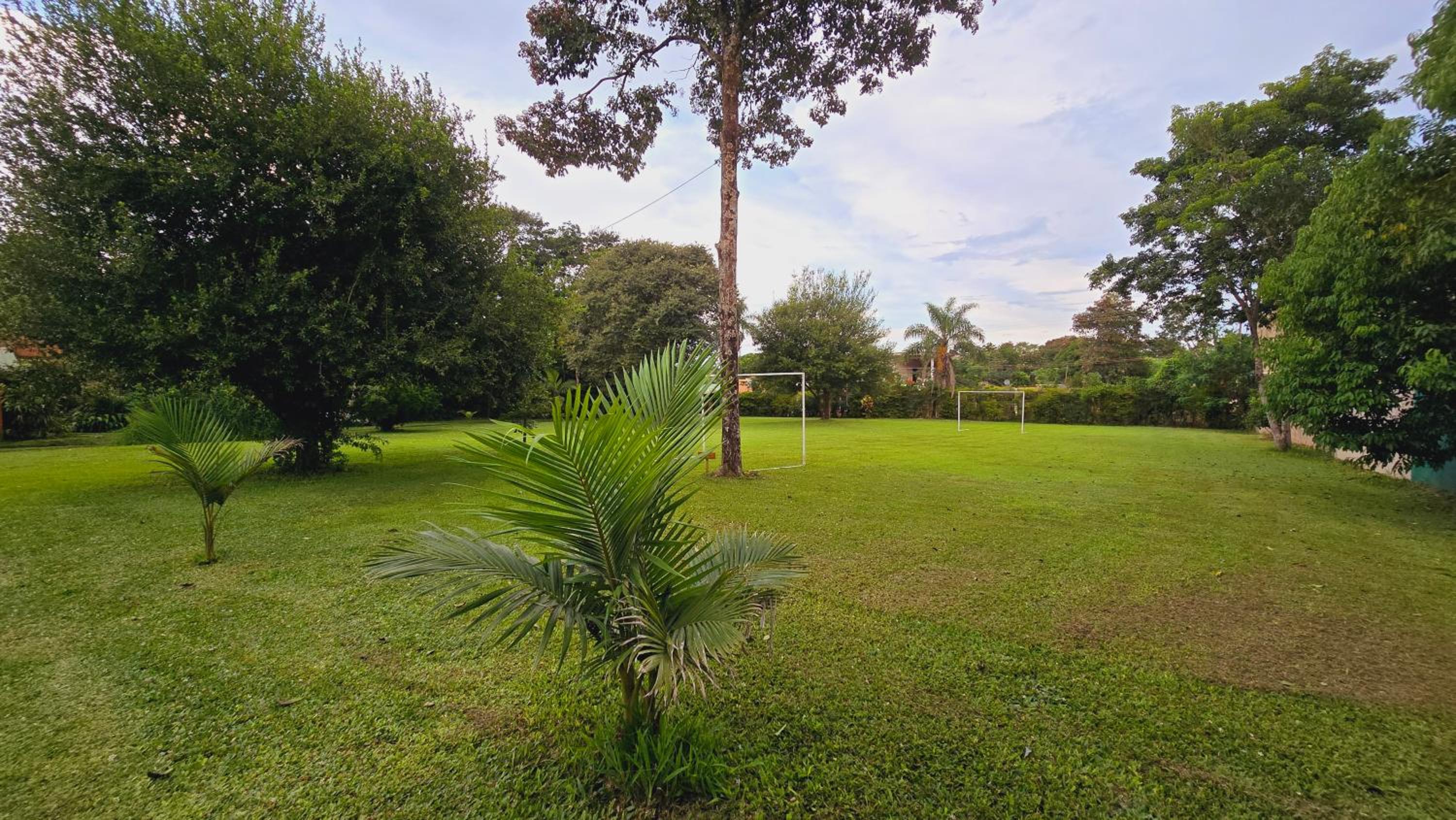 Cabañas Selva Verde