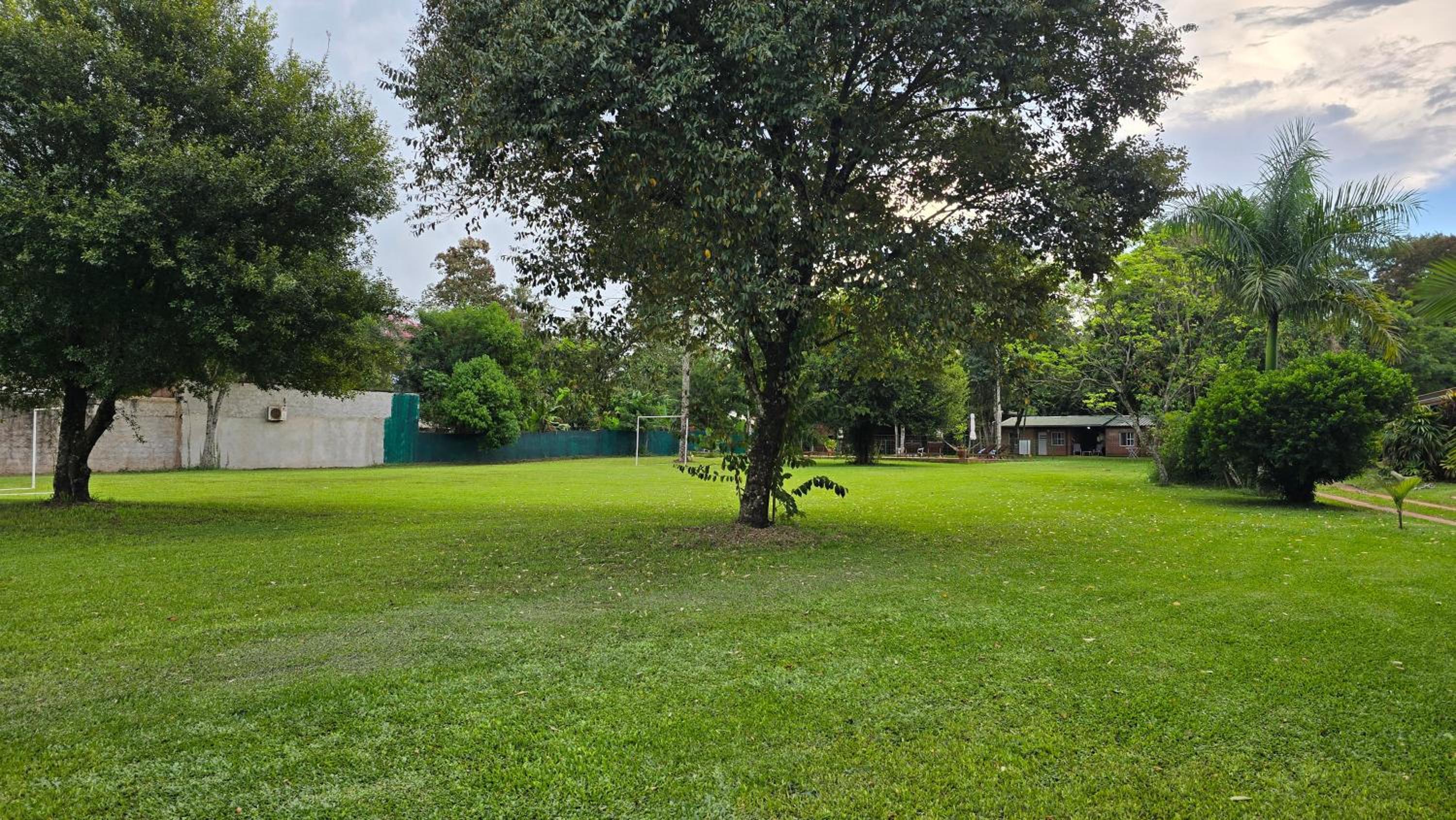 Cabañas Selva Verde