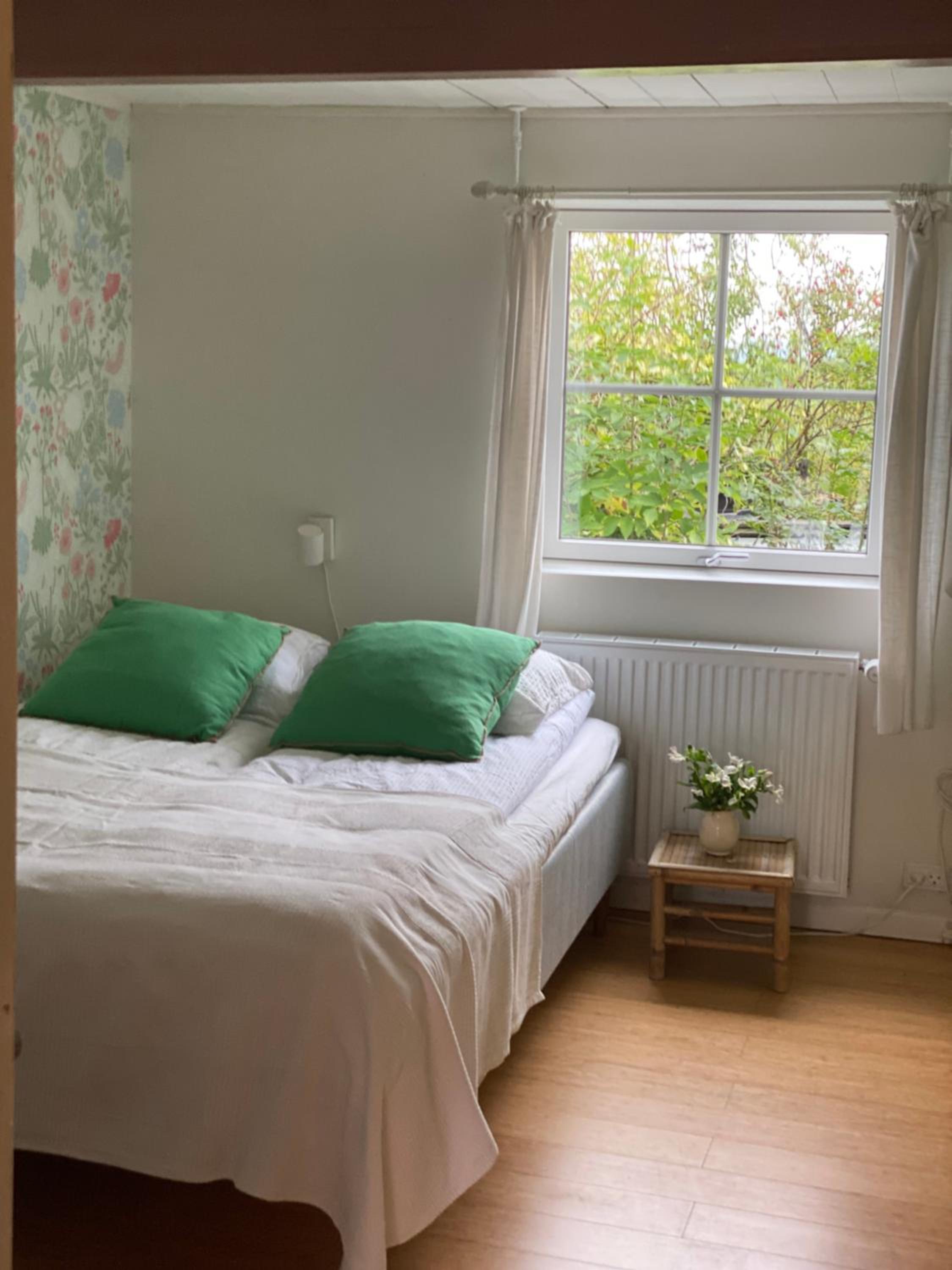 Camønogaarden B&B, darksky cabins and events view 3
