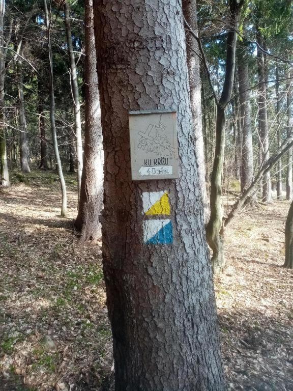 Sýkorka