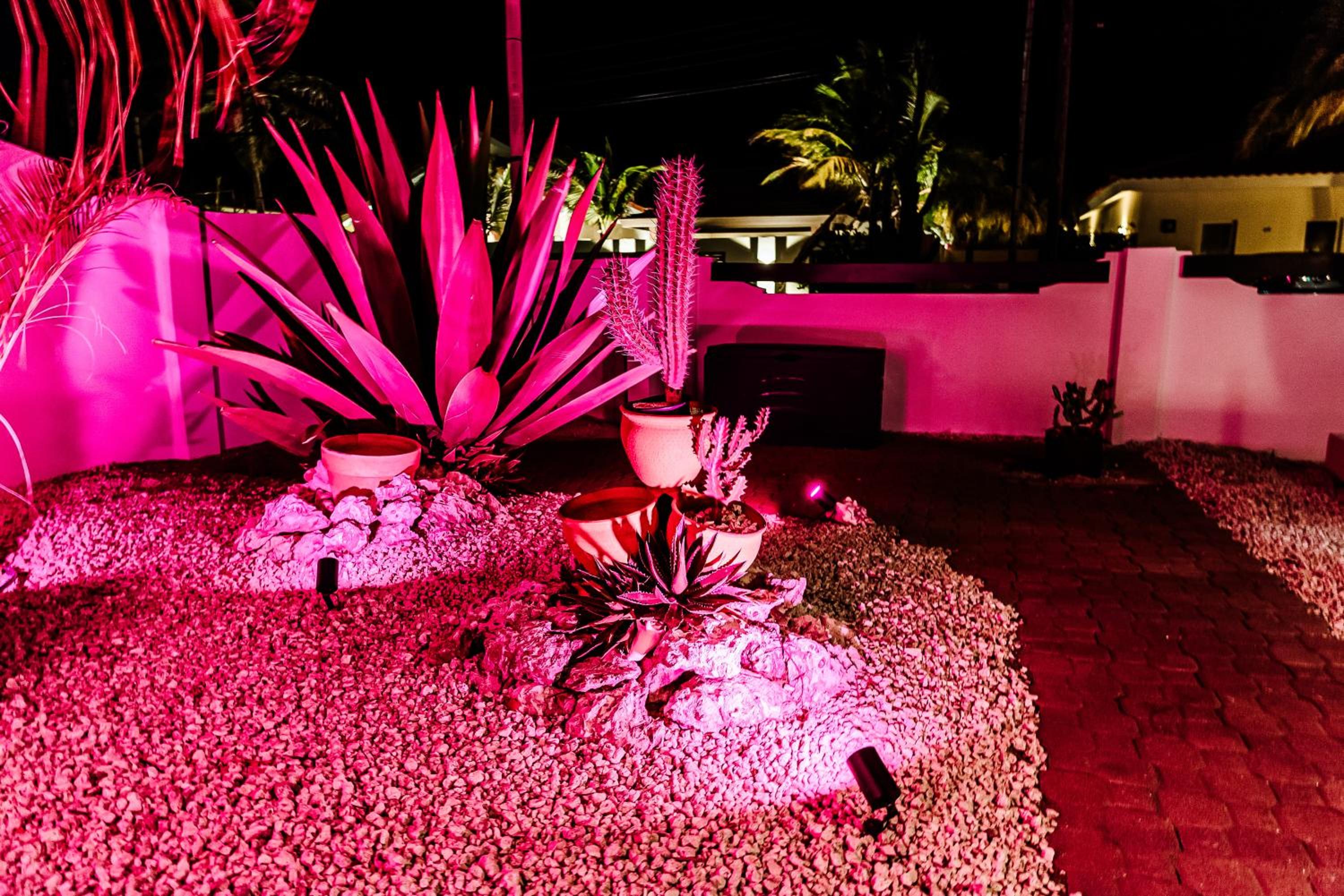 Villa Luma, Exclusive 3 Bedroom Oasis in Noord
