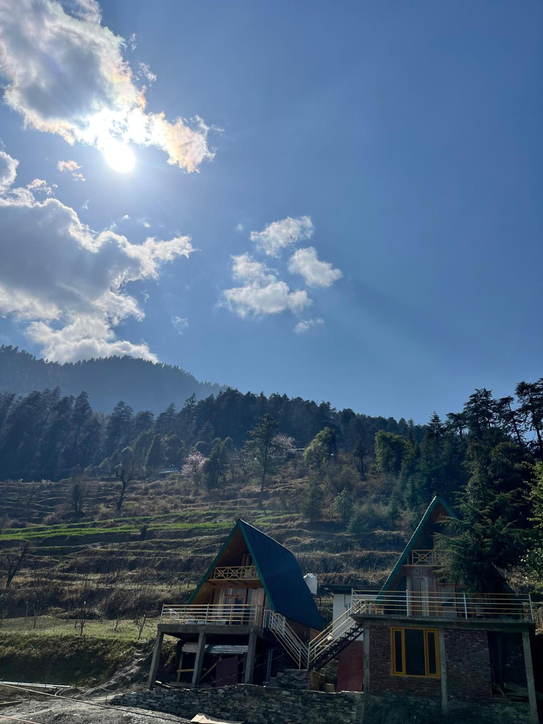 winterfell treehouse jibhi view 3