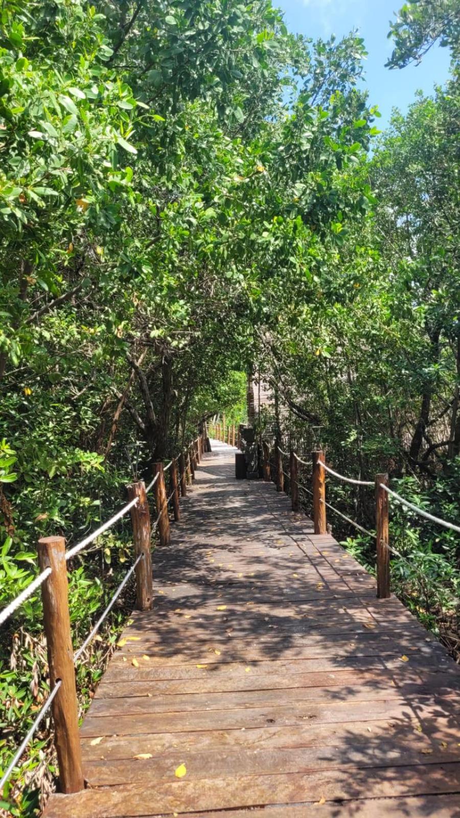 Akuazul Resorts Adults Only