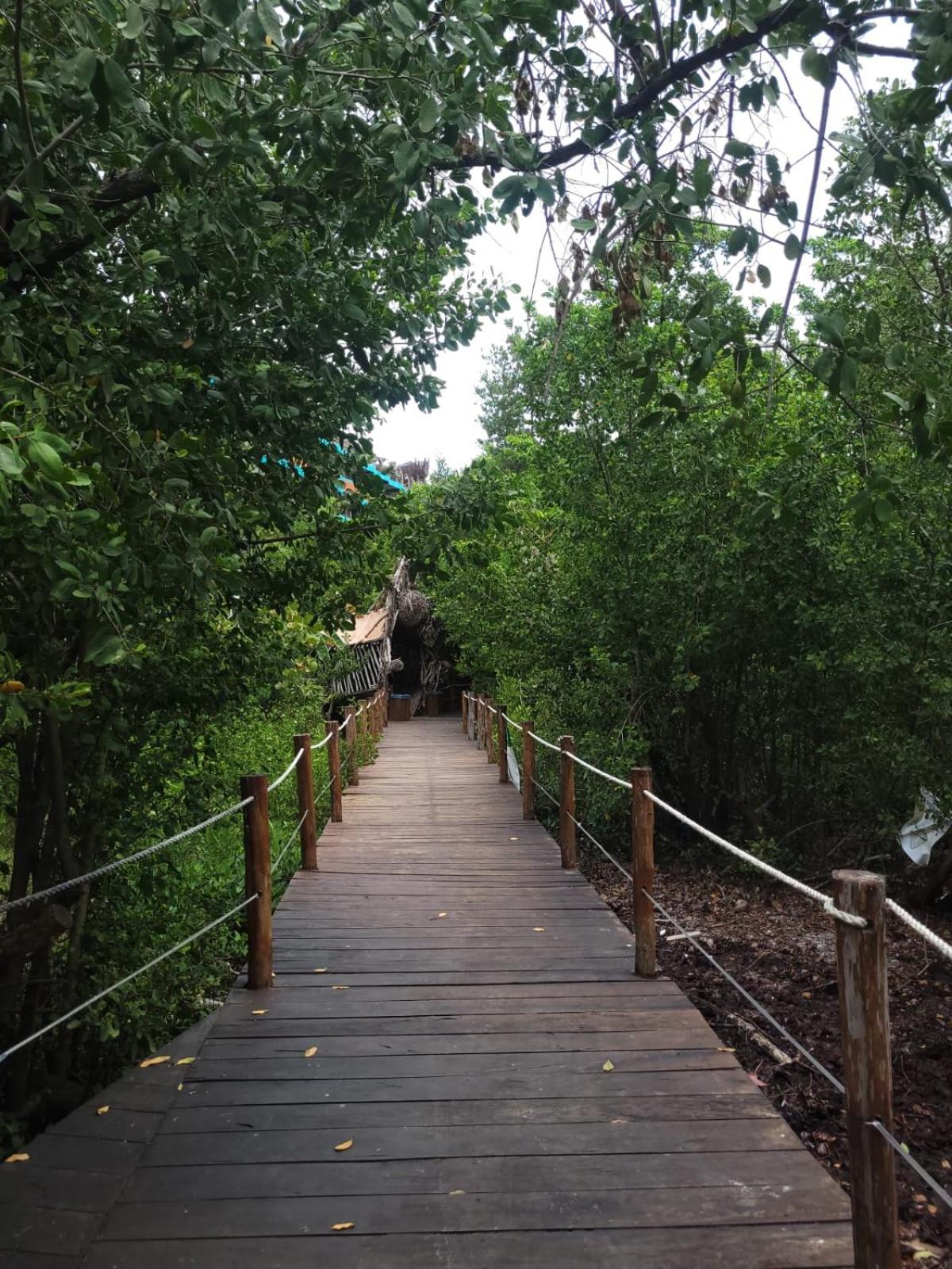 Akuazul Resorts Adults Only