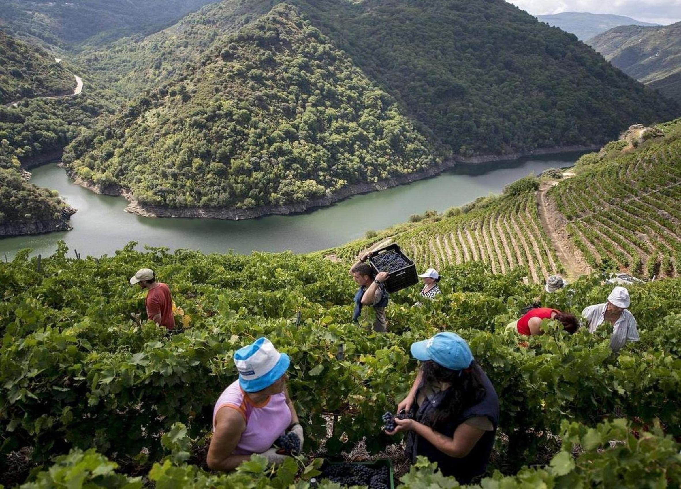 Casa de las Ascuas - Property Image 12