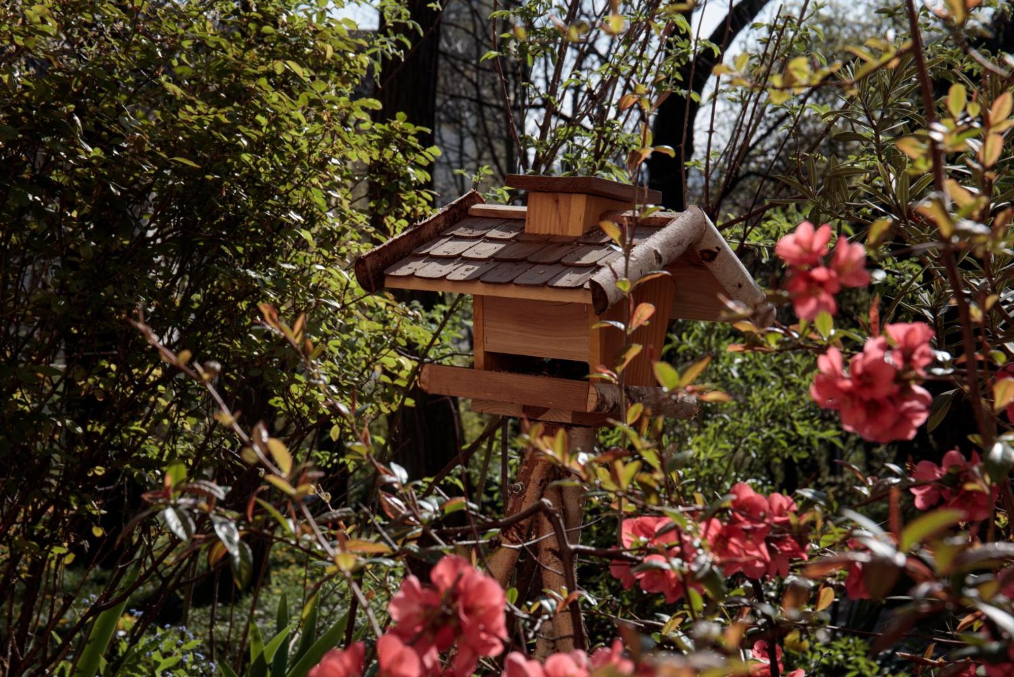 Birdnest Apartment