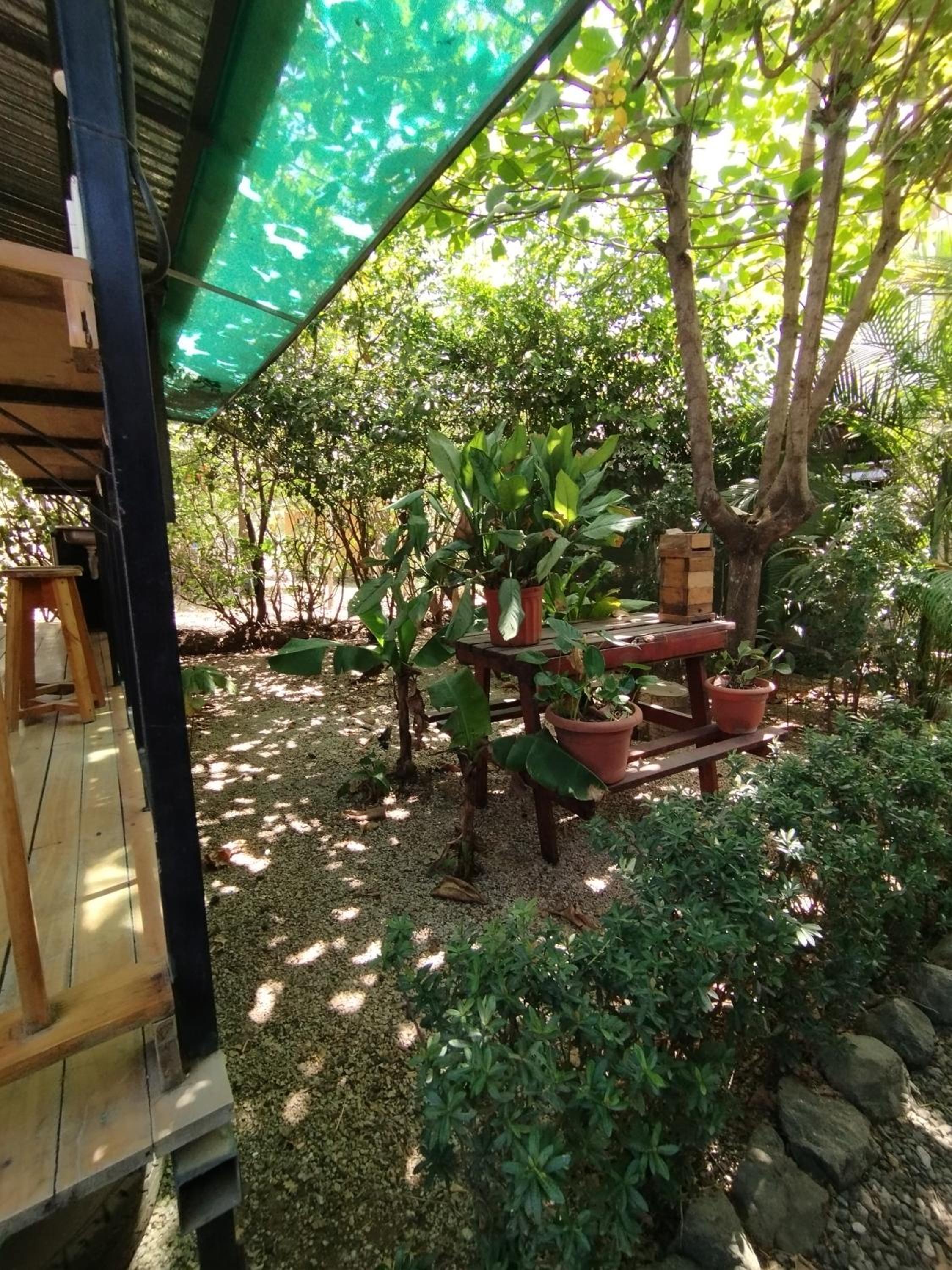 Chill-Inn Nosara
