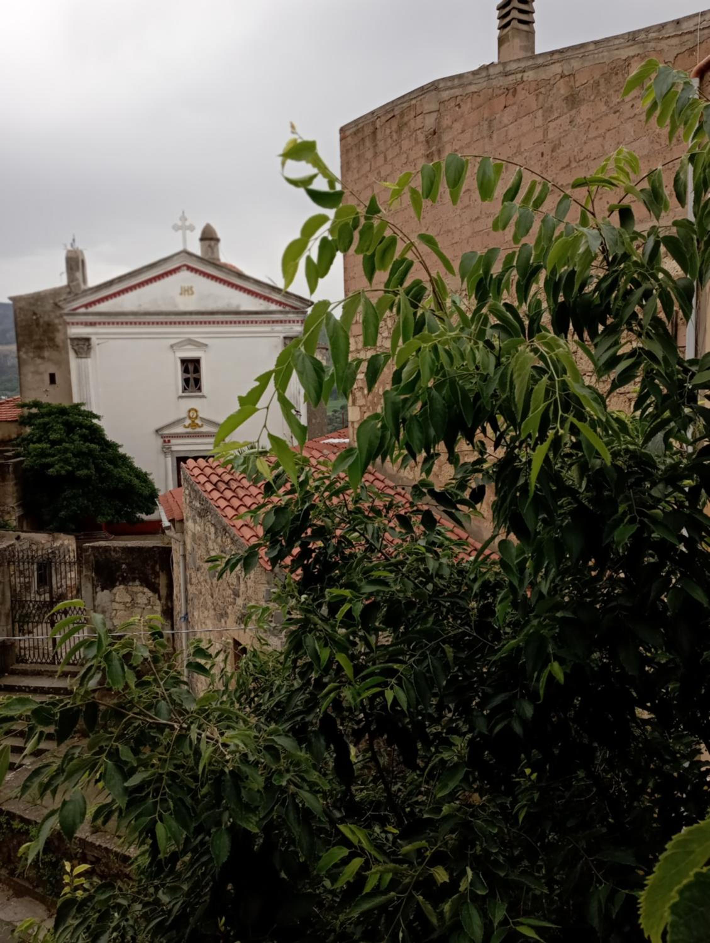 Photo 49