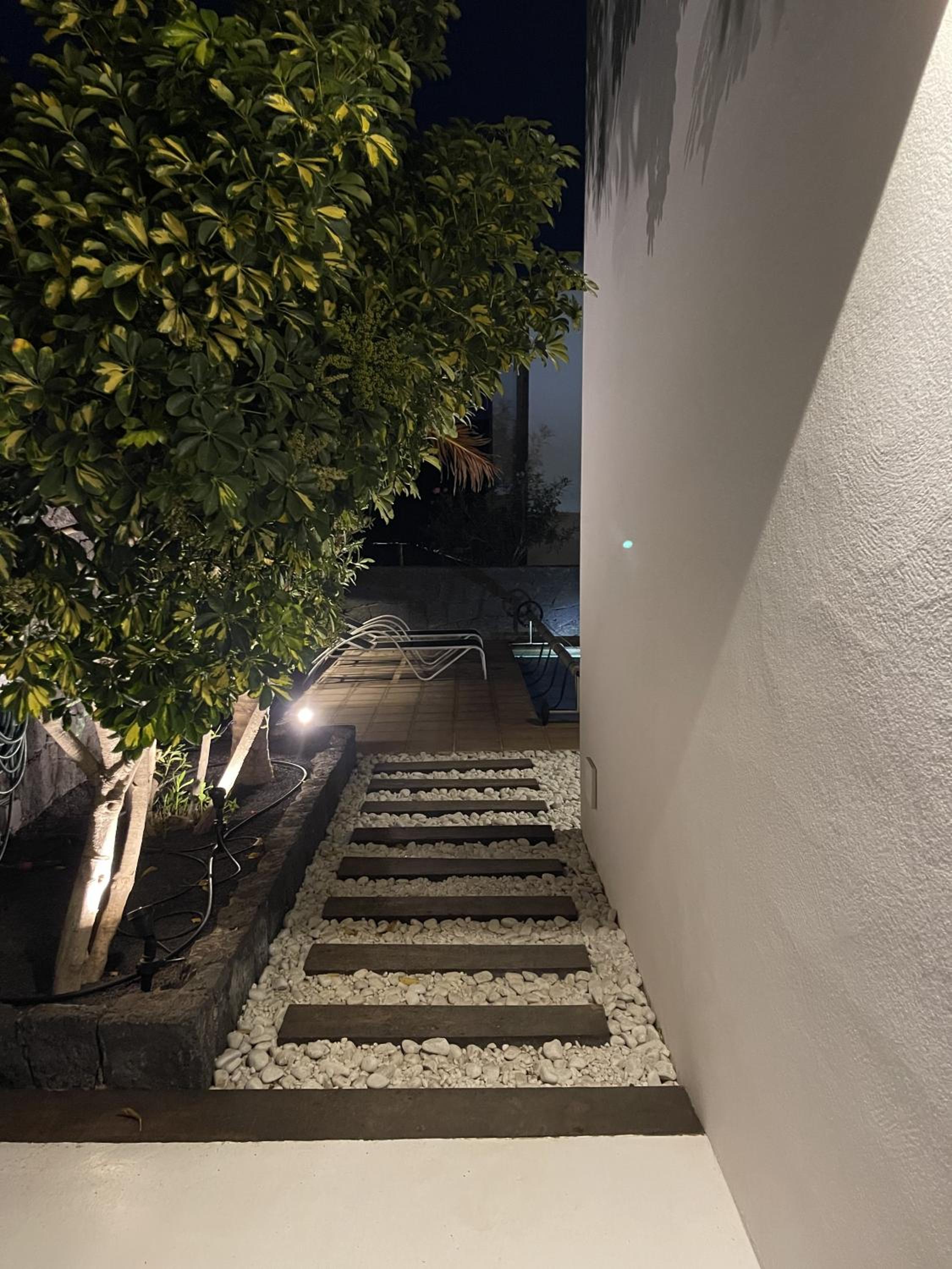 Photo 31