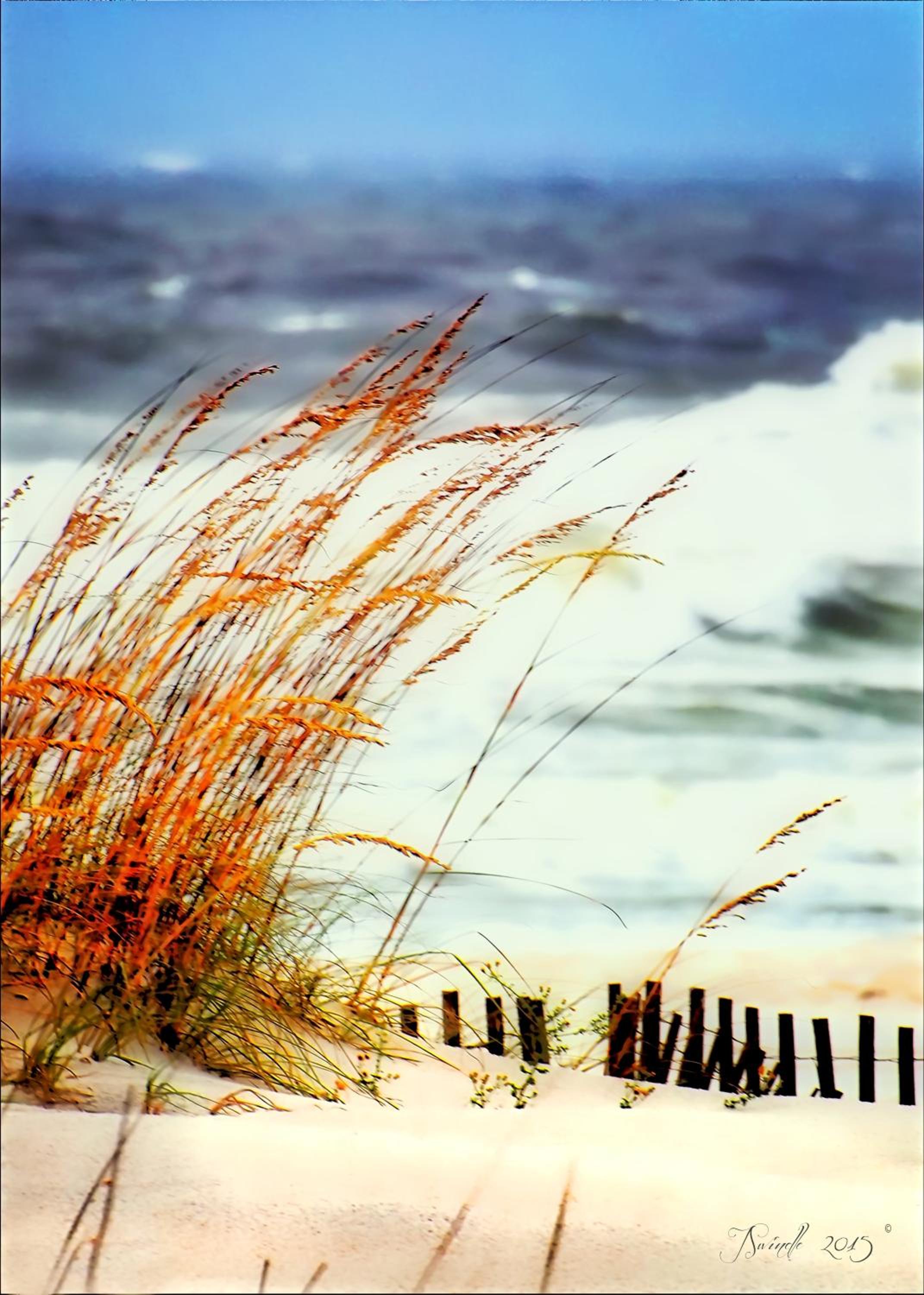 Soul Tide