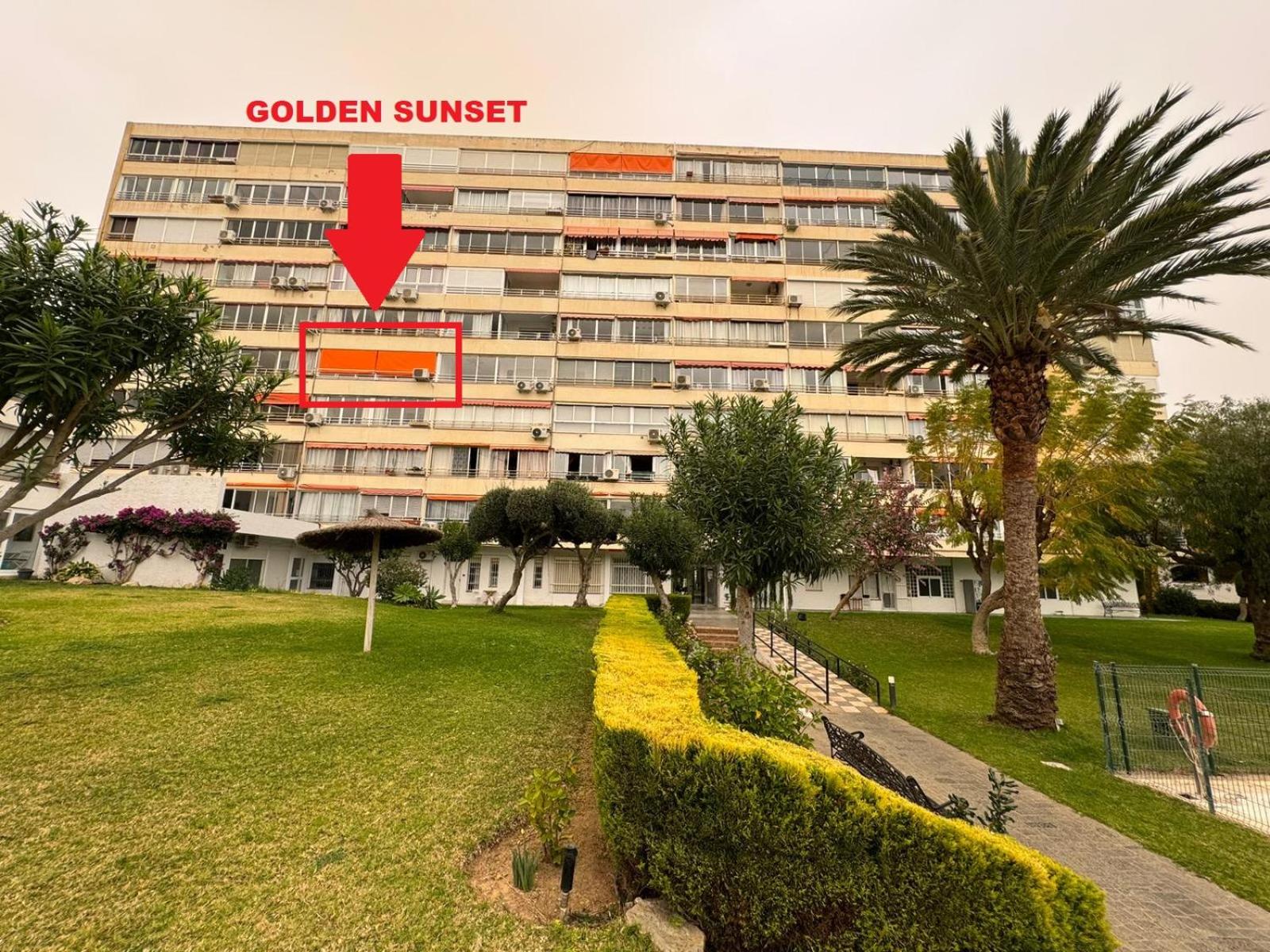 Golden Sunset