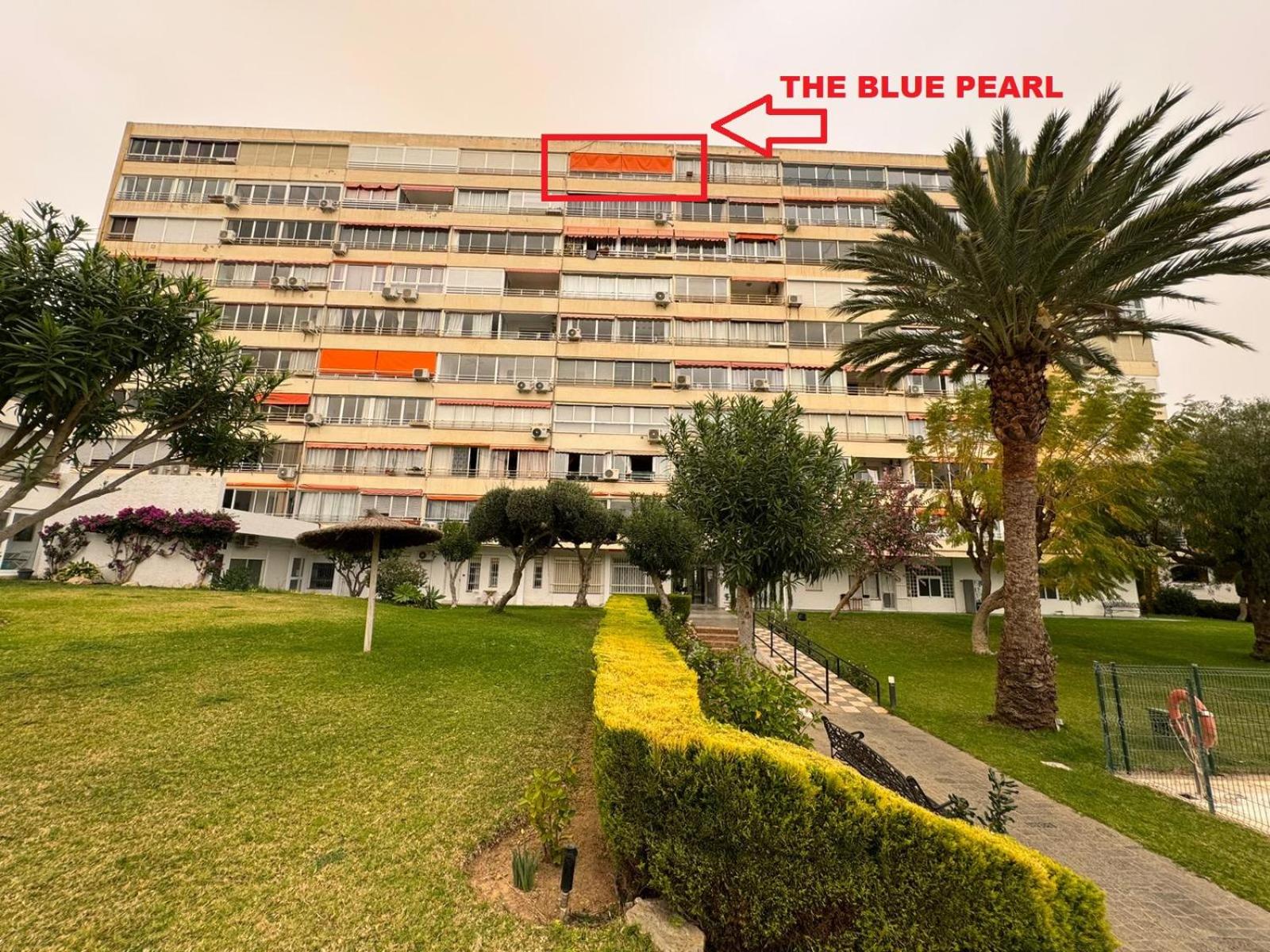 The blue pearl