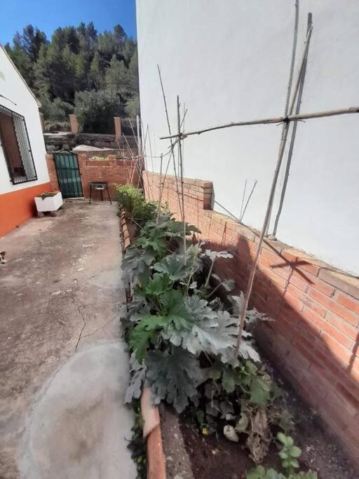 Photo 25