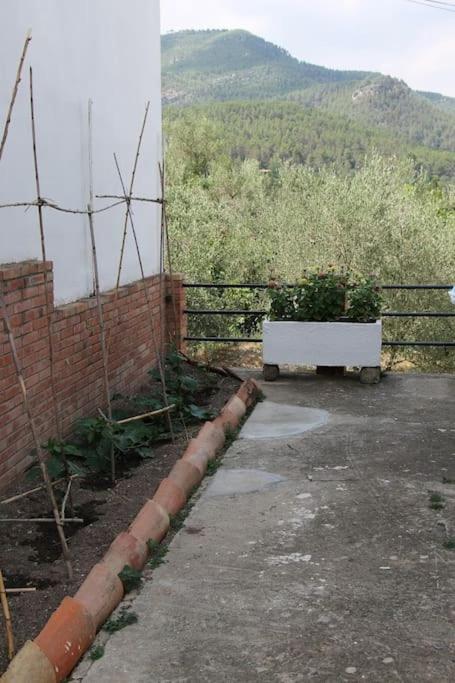 Photo 26