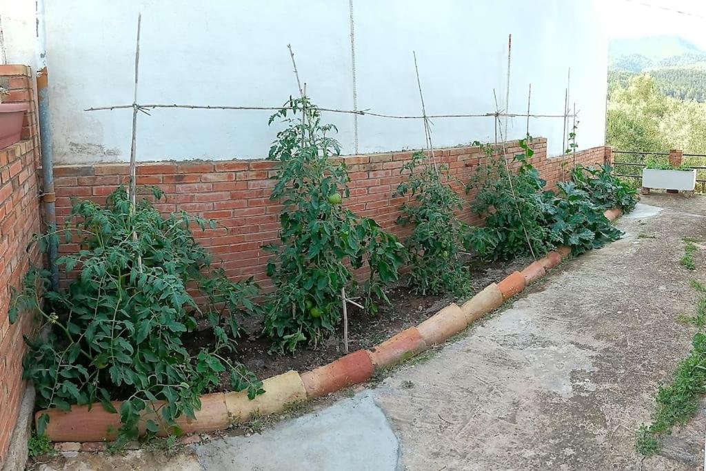 Photo 36