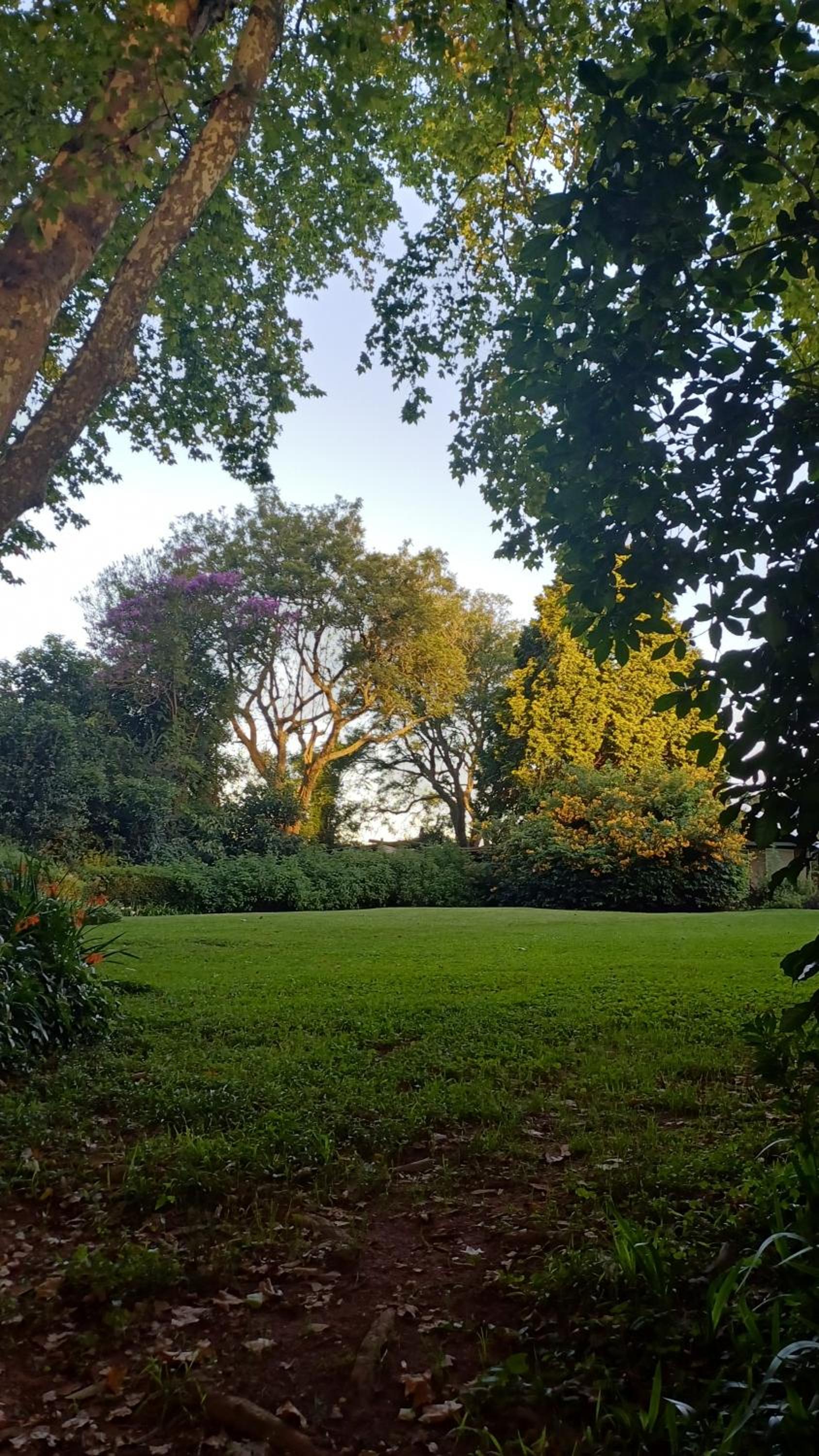 Umoya view 4