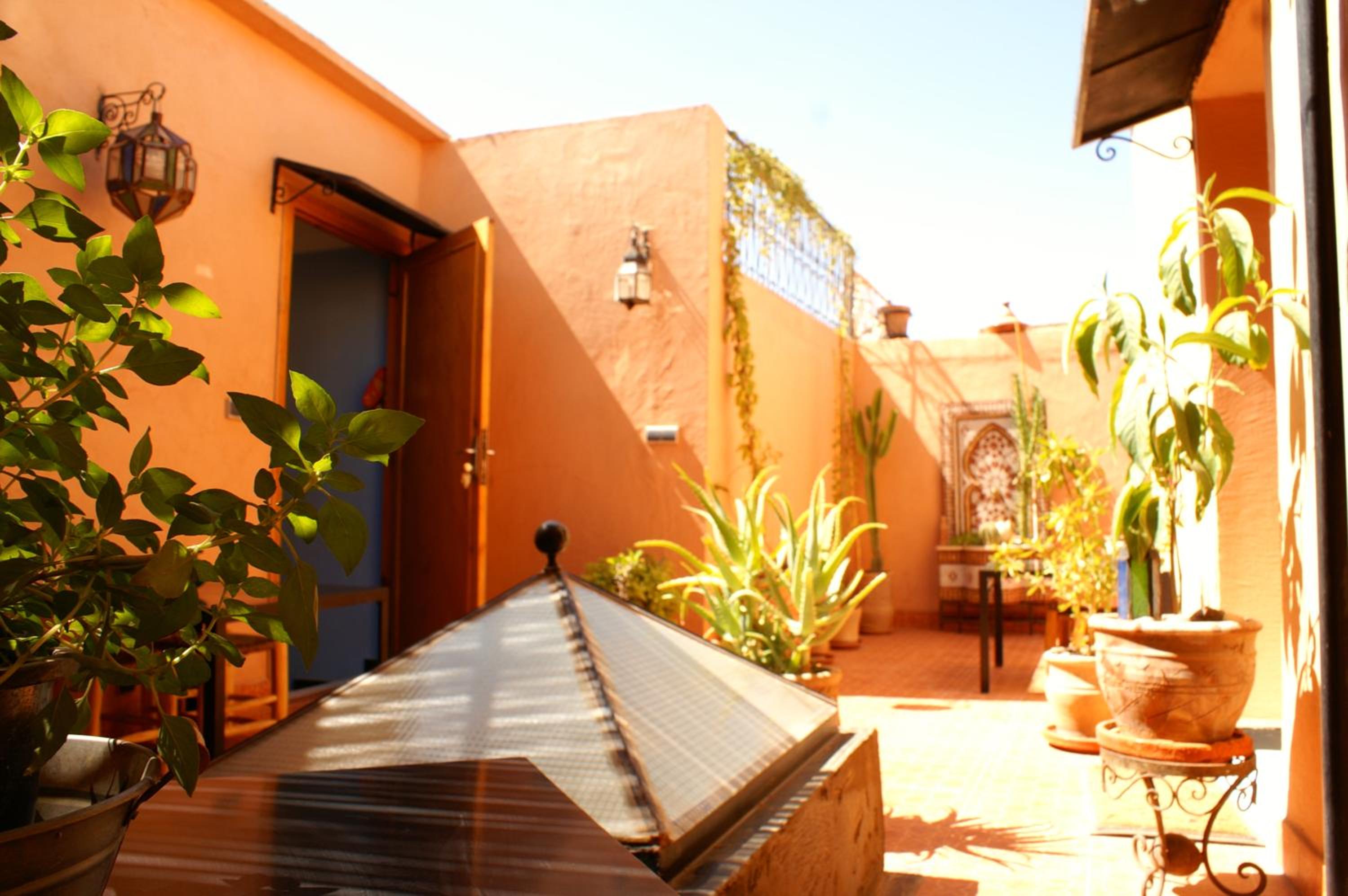 Photo 13