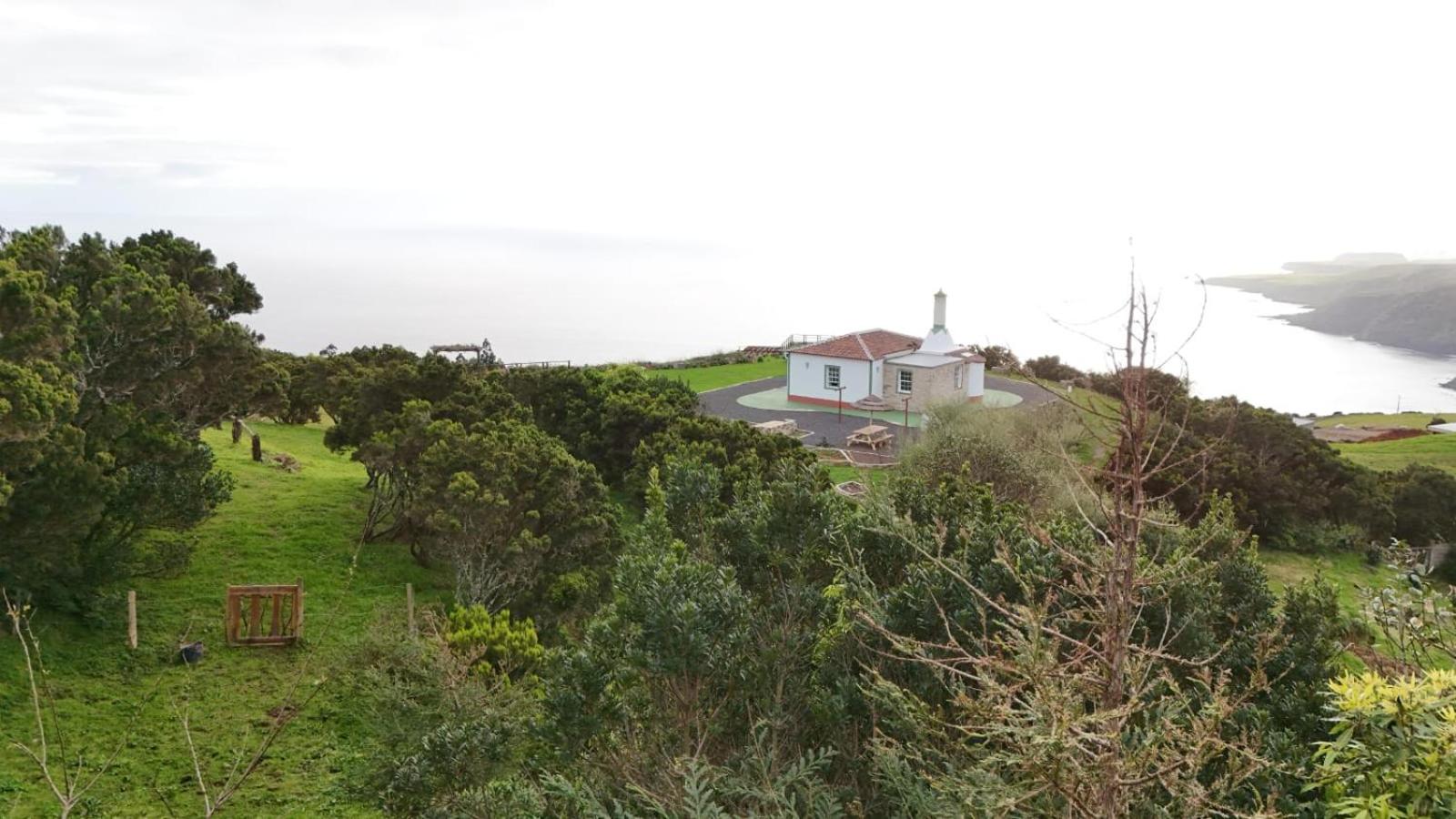 Photo 46