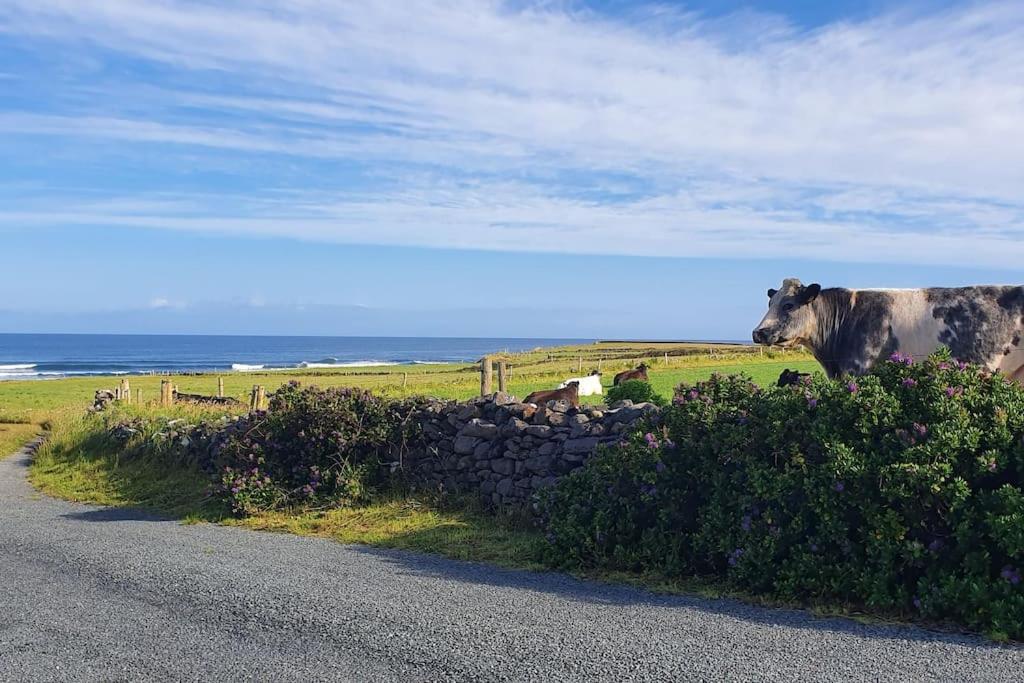 Wild Atlantic Seaside Cottage