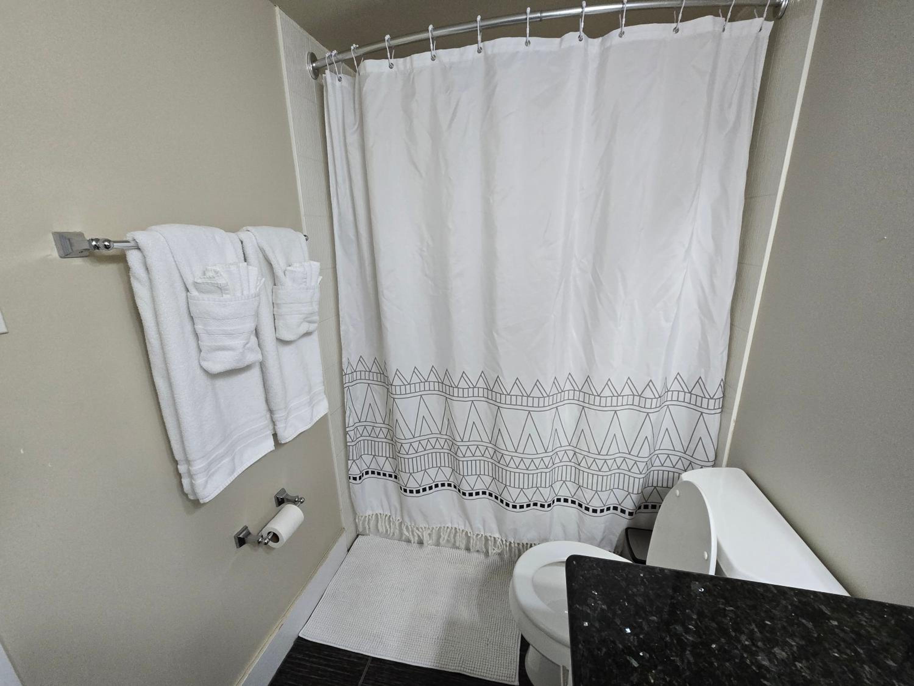Smart Stylish Downtown Condo- 2 bedrooms