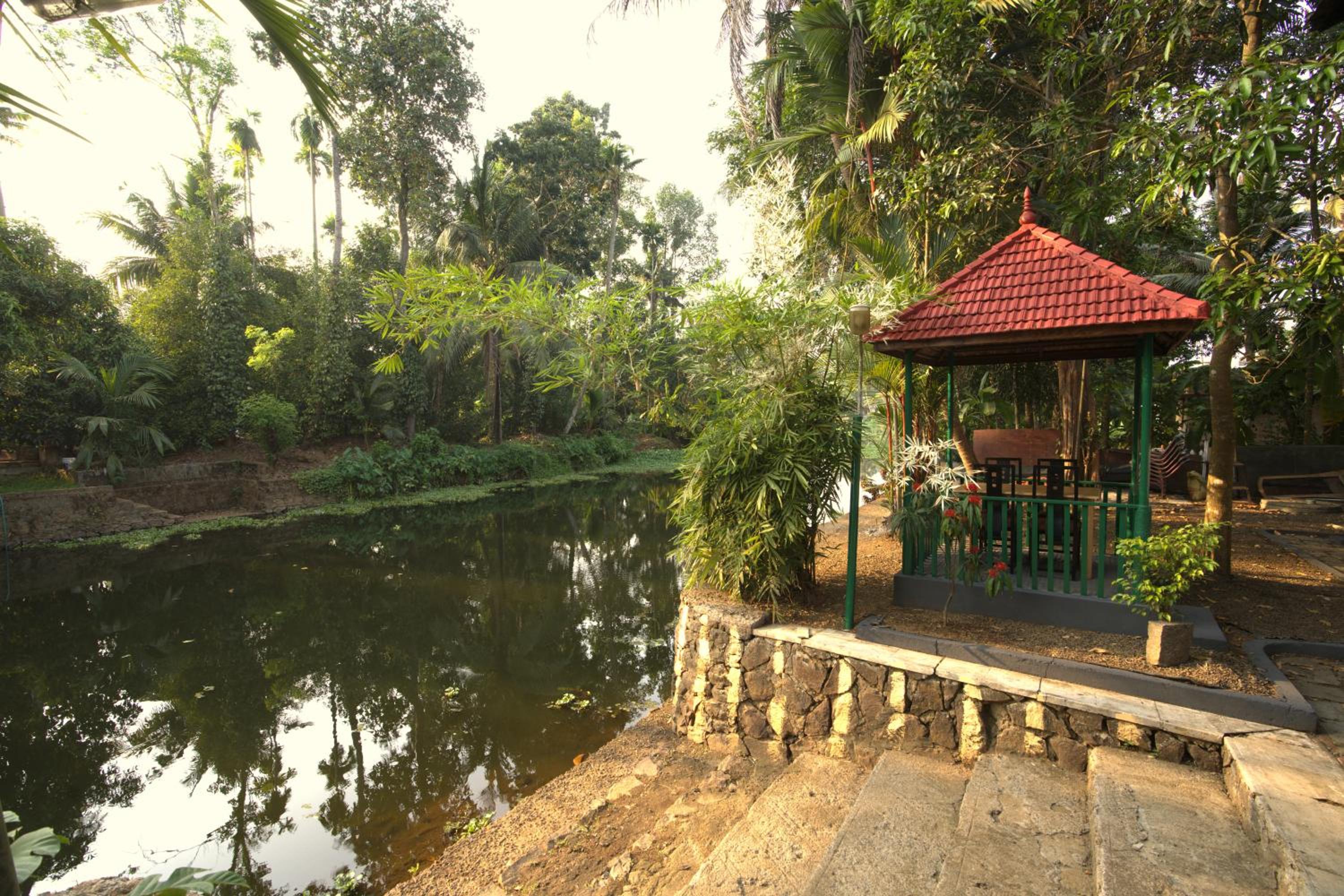 Photo 33