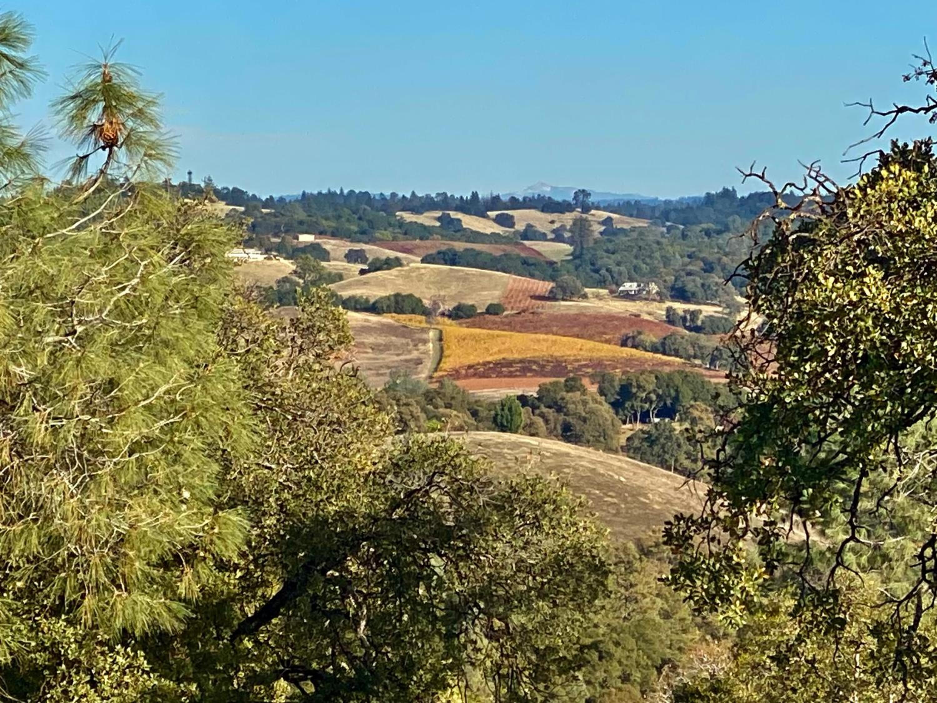 The Fiddletown Vineyard Retreat