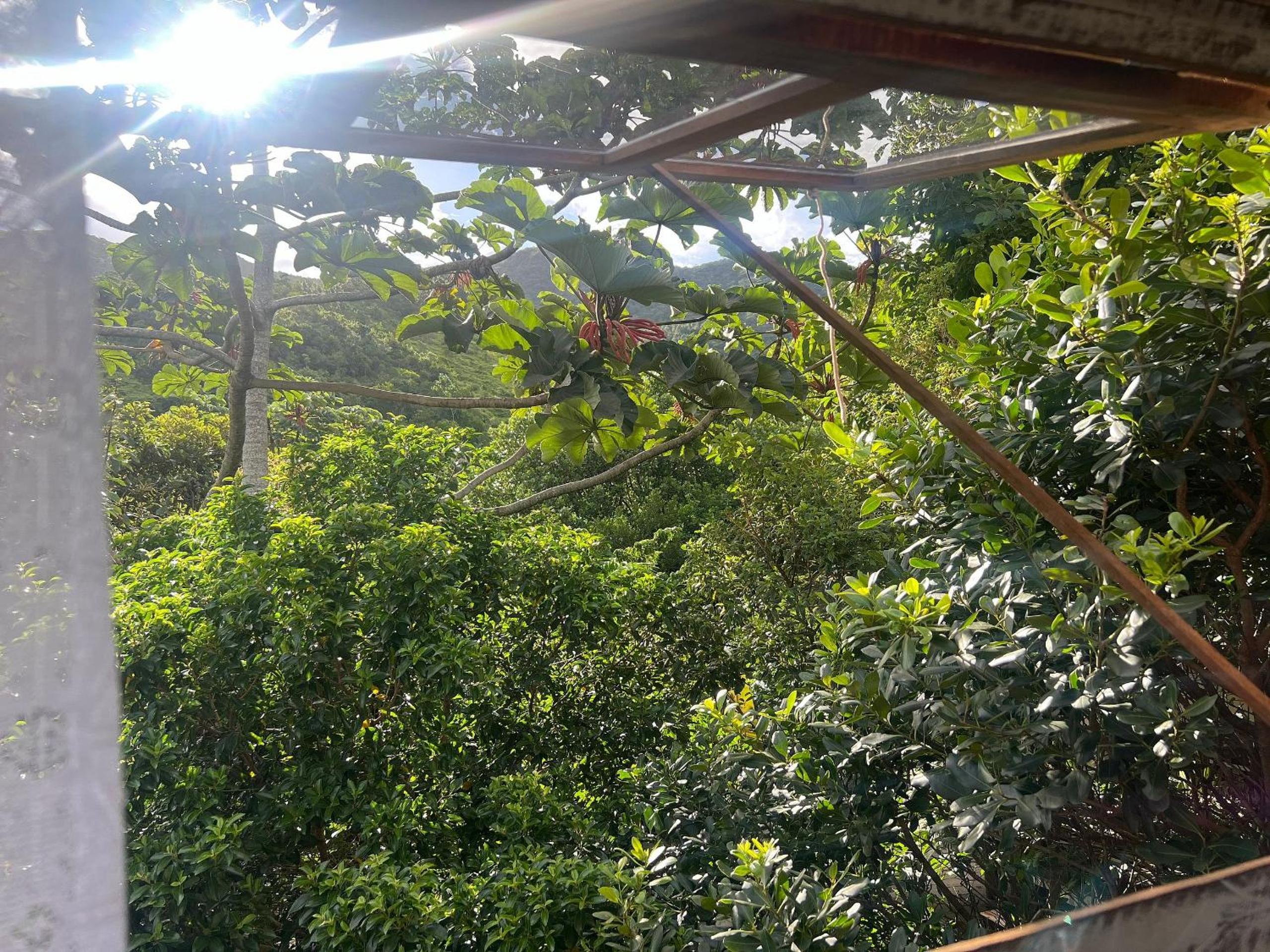Vista incrível! Chalé com hidromassagem! FU01I