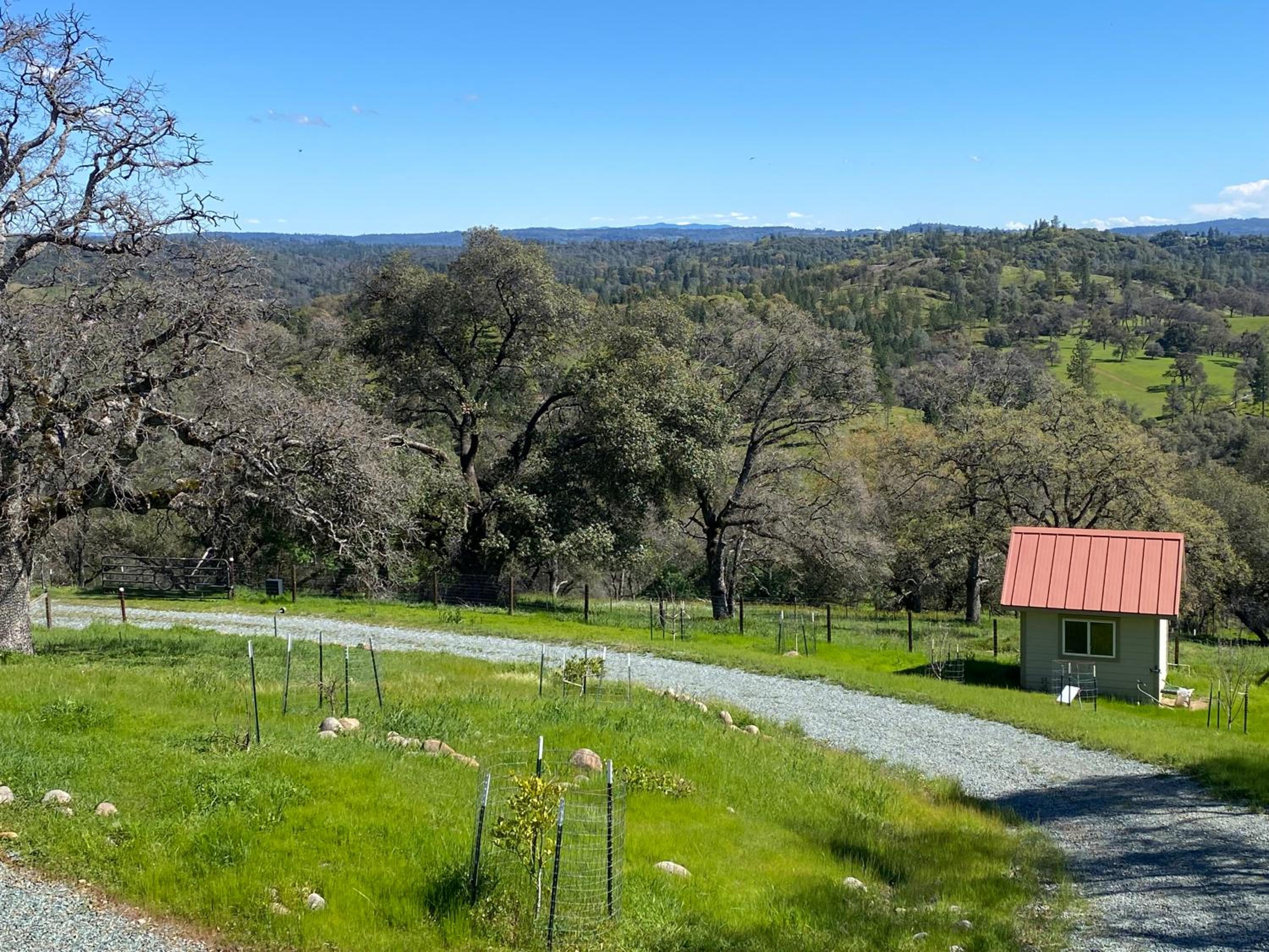 The Fiddletown Vineyard Retreat