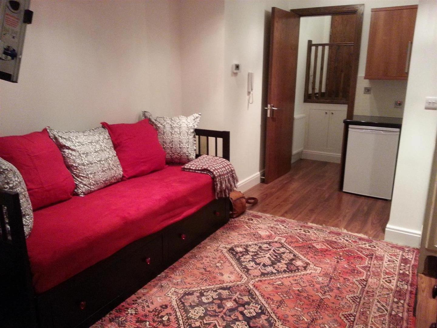 Epsom Road studio flat view 4