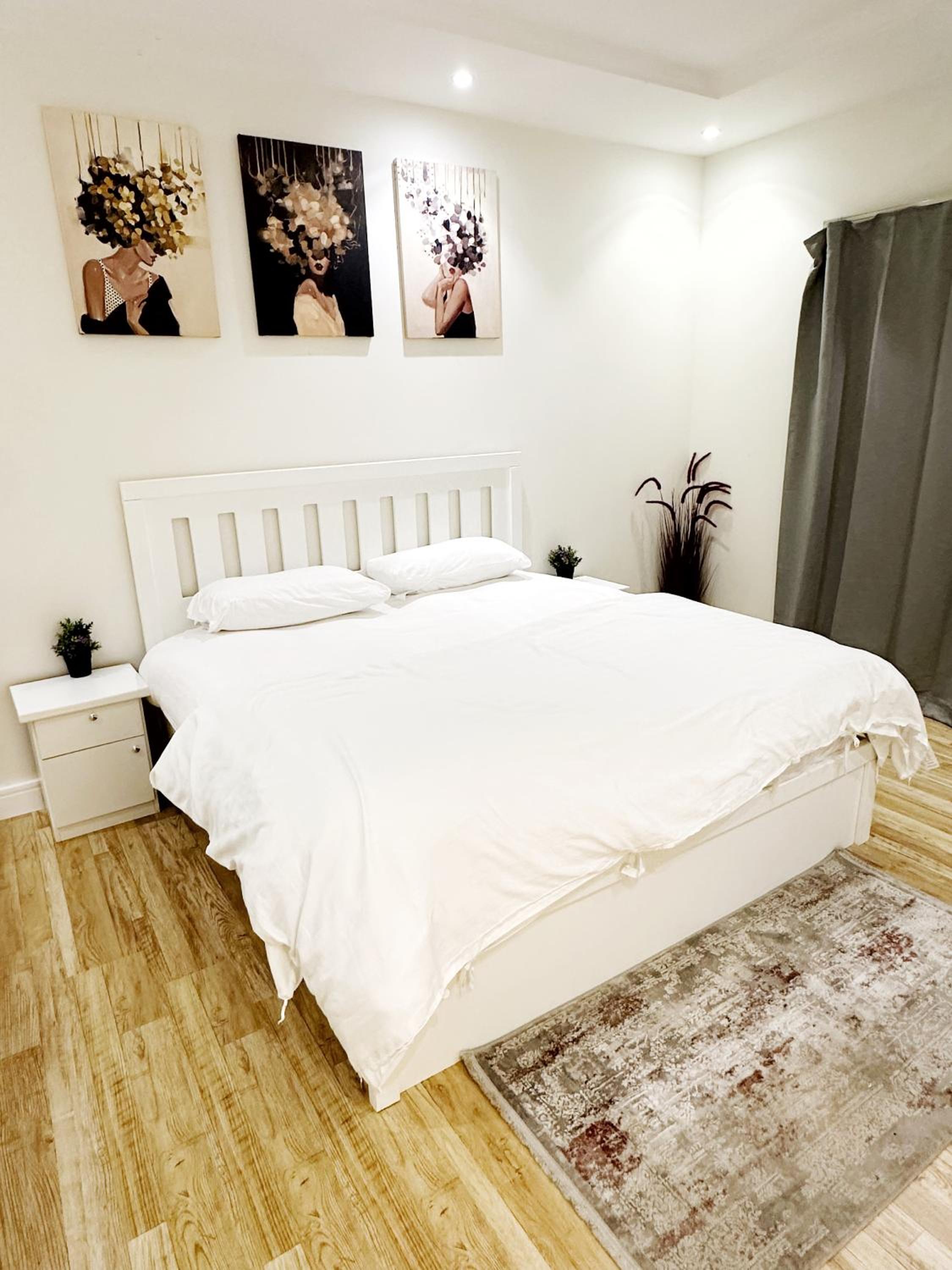 Luxury Apartment 1
