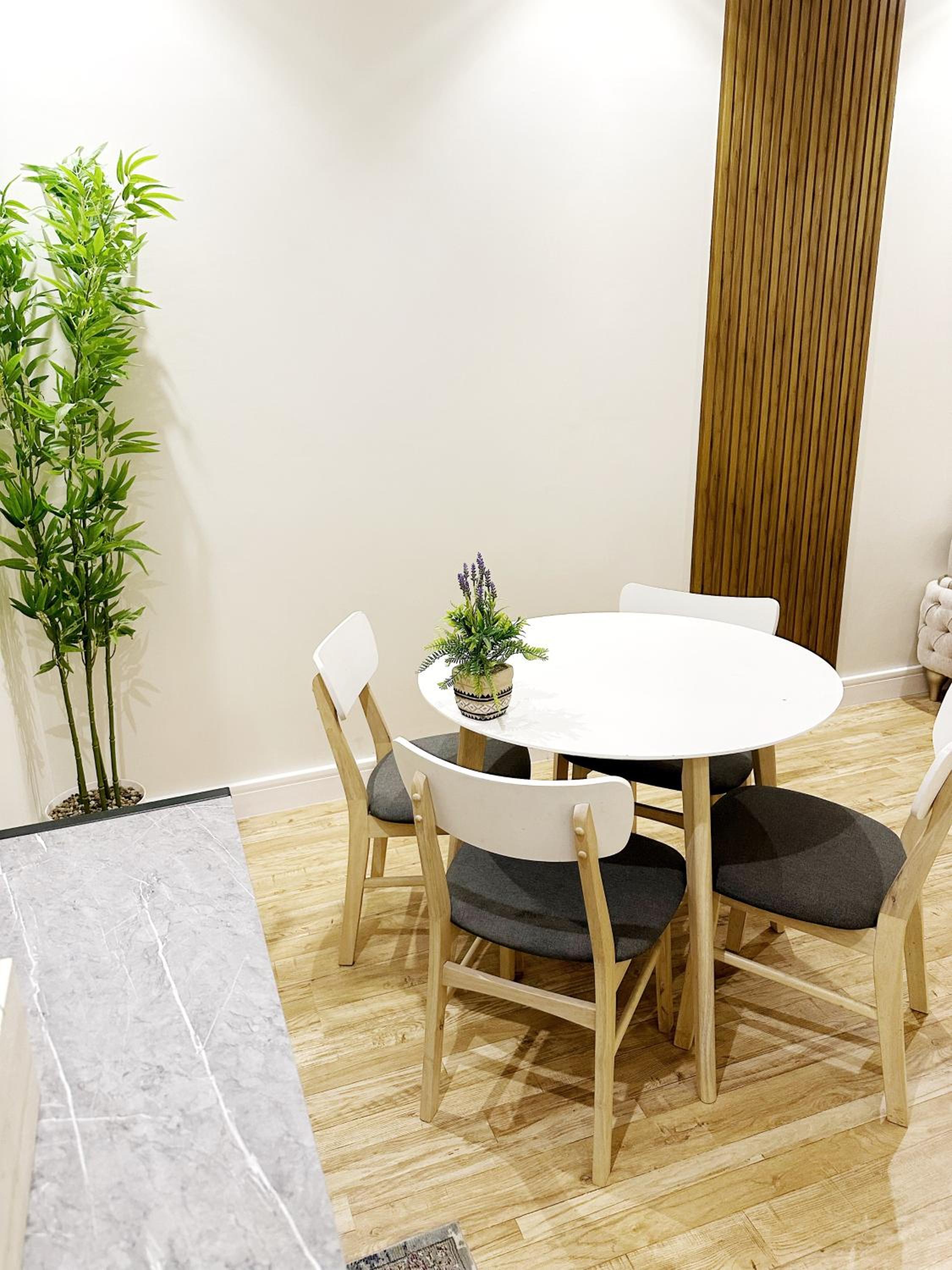 Luxury Apartment 1