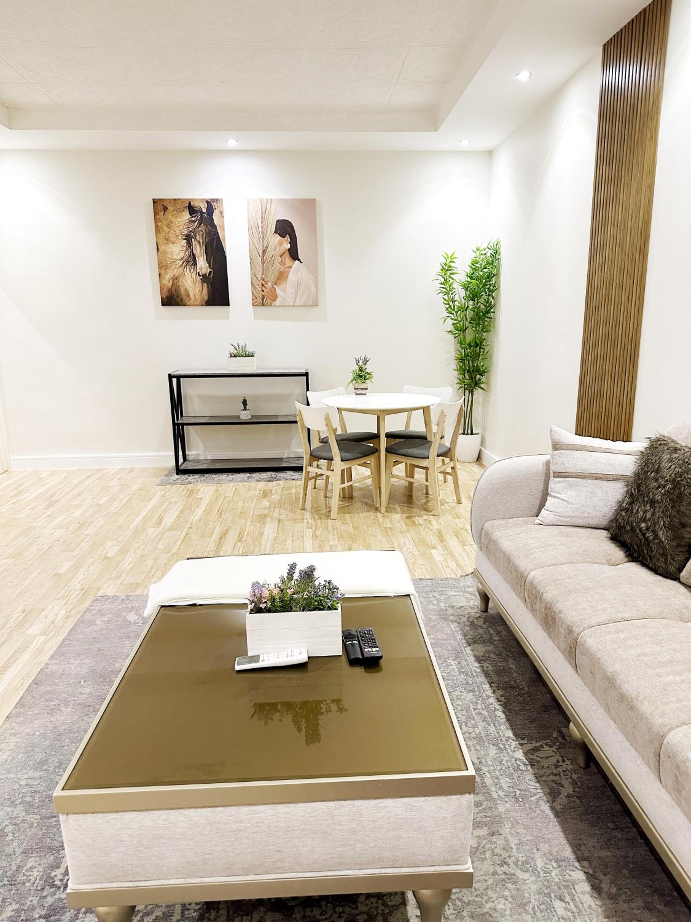 Luxury Apartment 1
