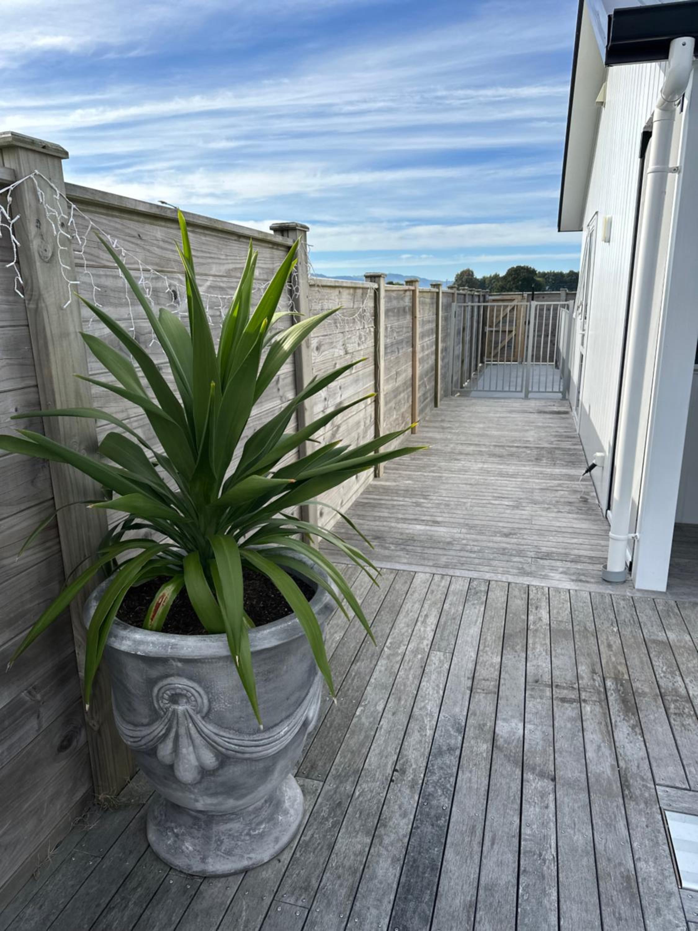 Luxury Poolside Studio Near Hobbiton