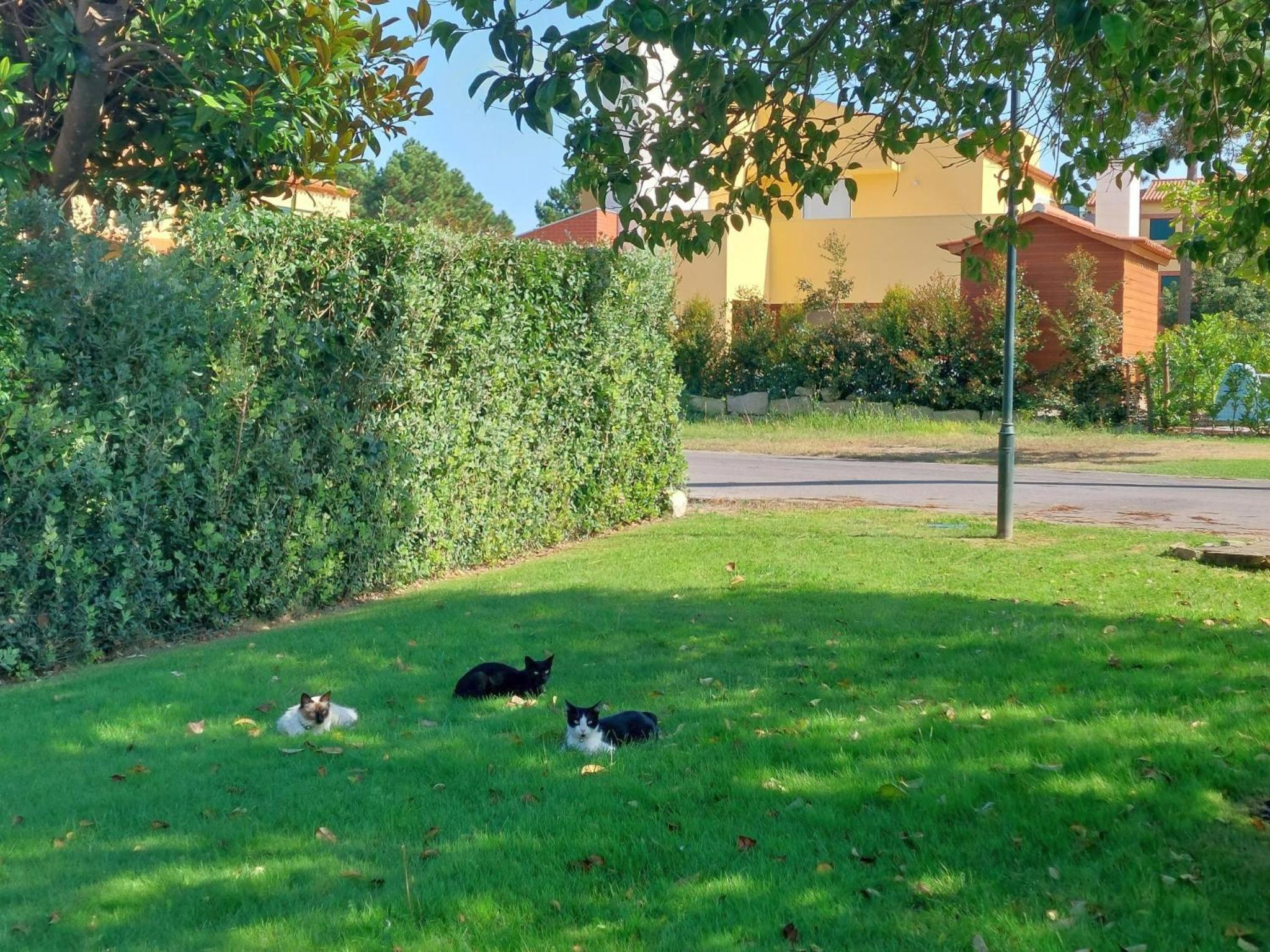 Photo 29