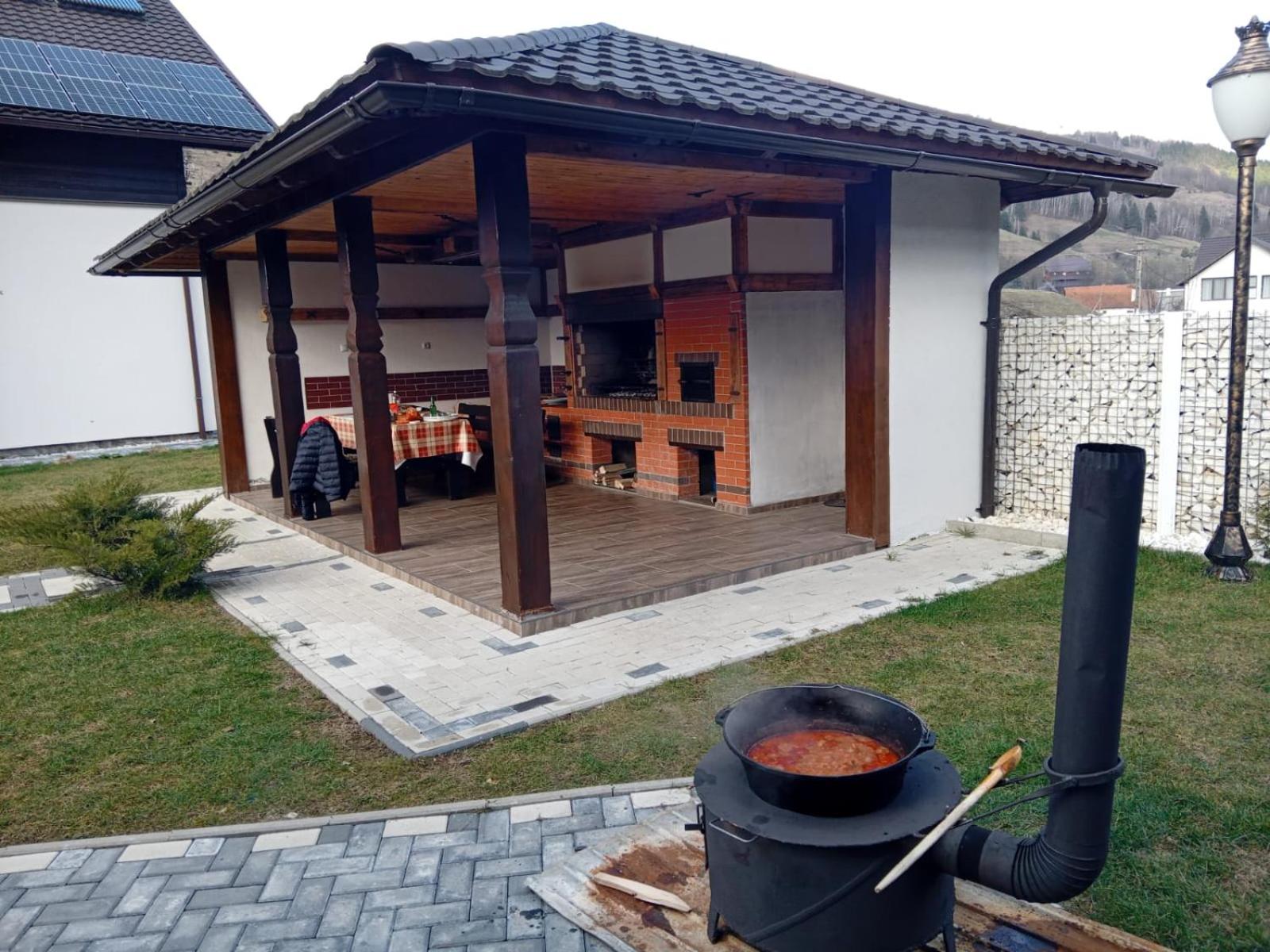 Vidra Dacica view 4