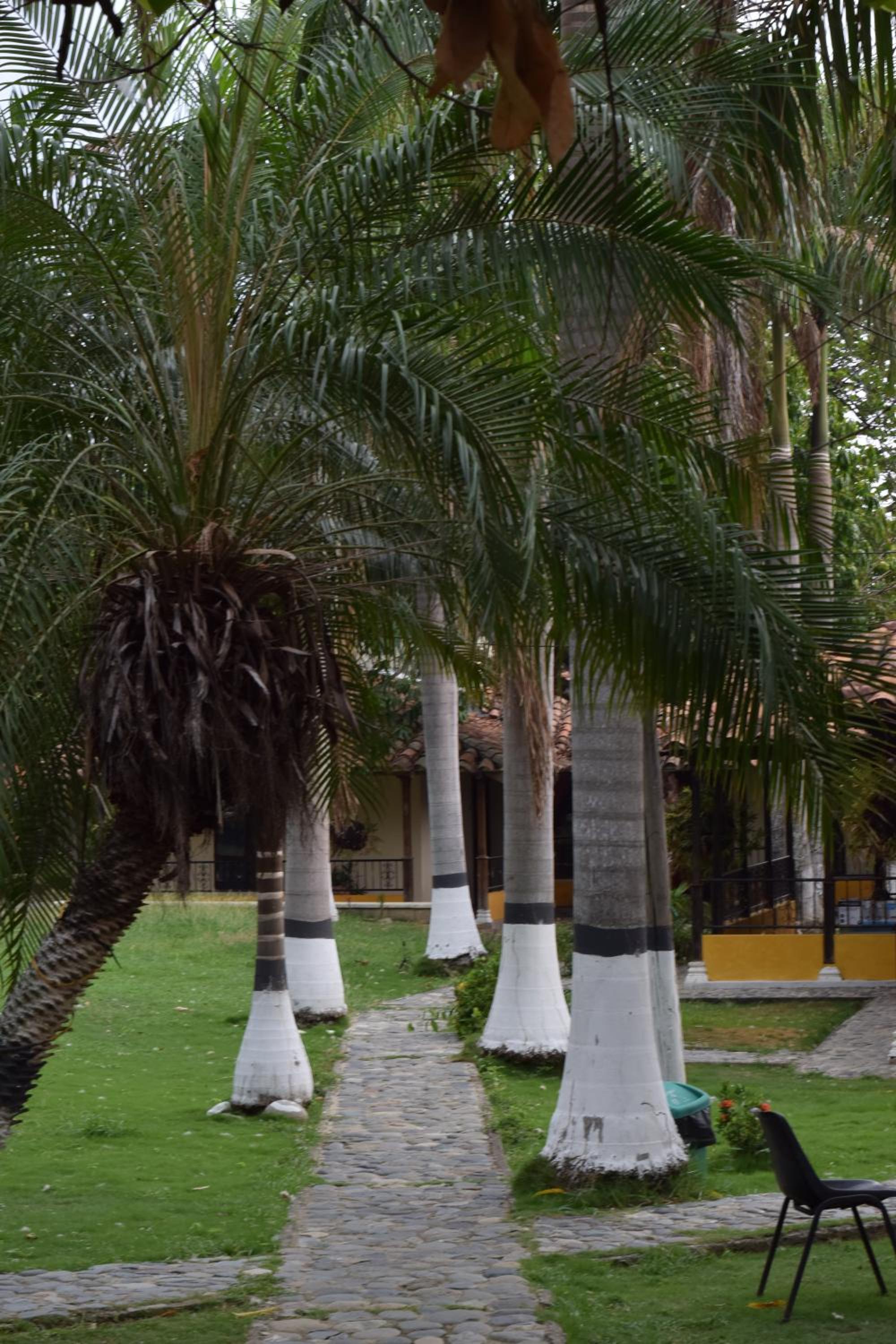 Hotel Campestre La Coqueta