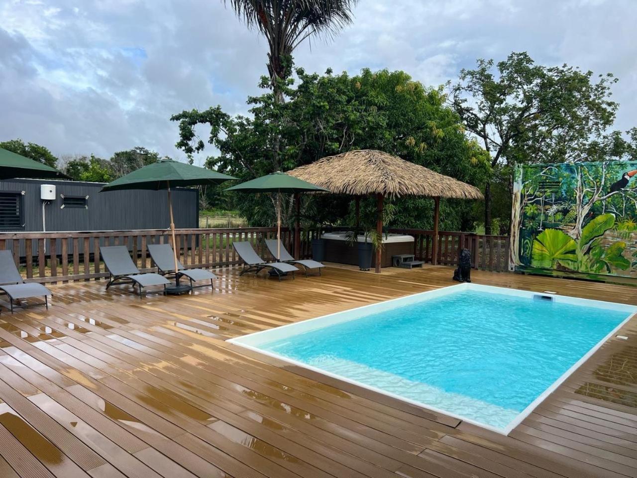 MBS Studio Standard LA CARAPA view 2