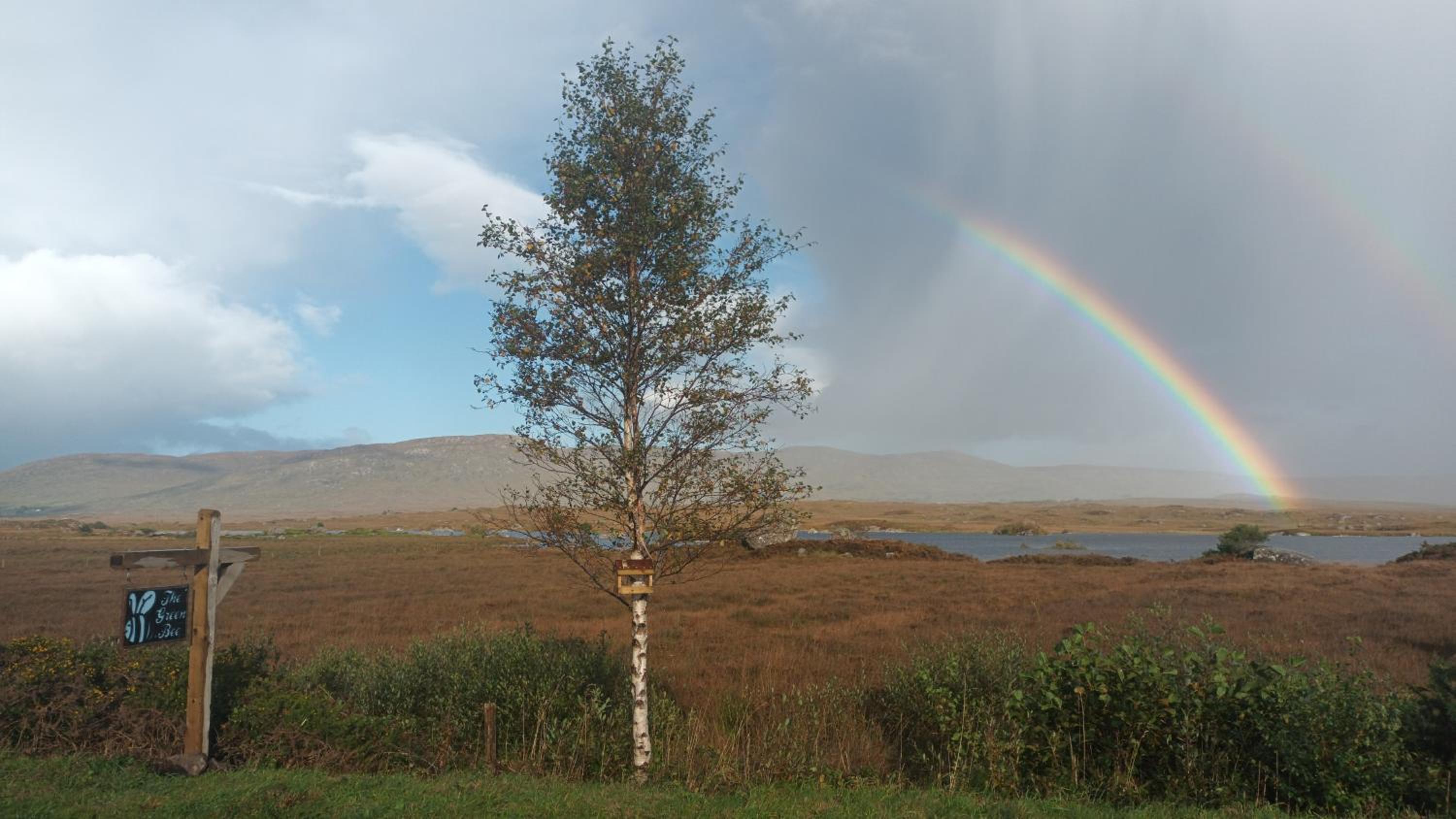 Connemara Lake View Apartment
