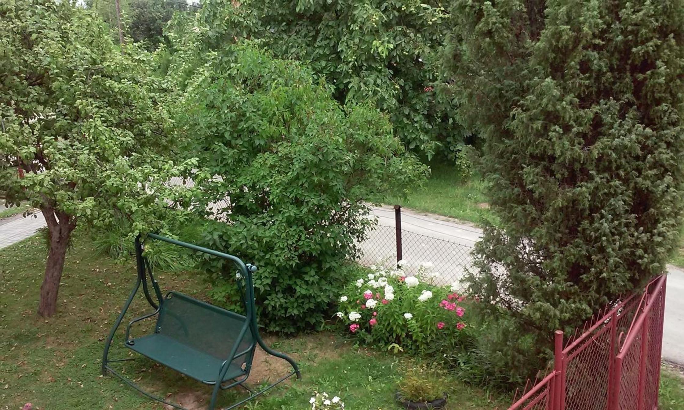 Photo 17