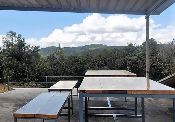 Dream Acres Homestay