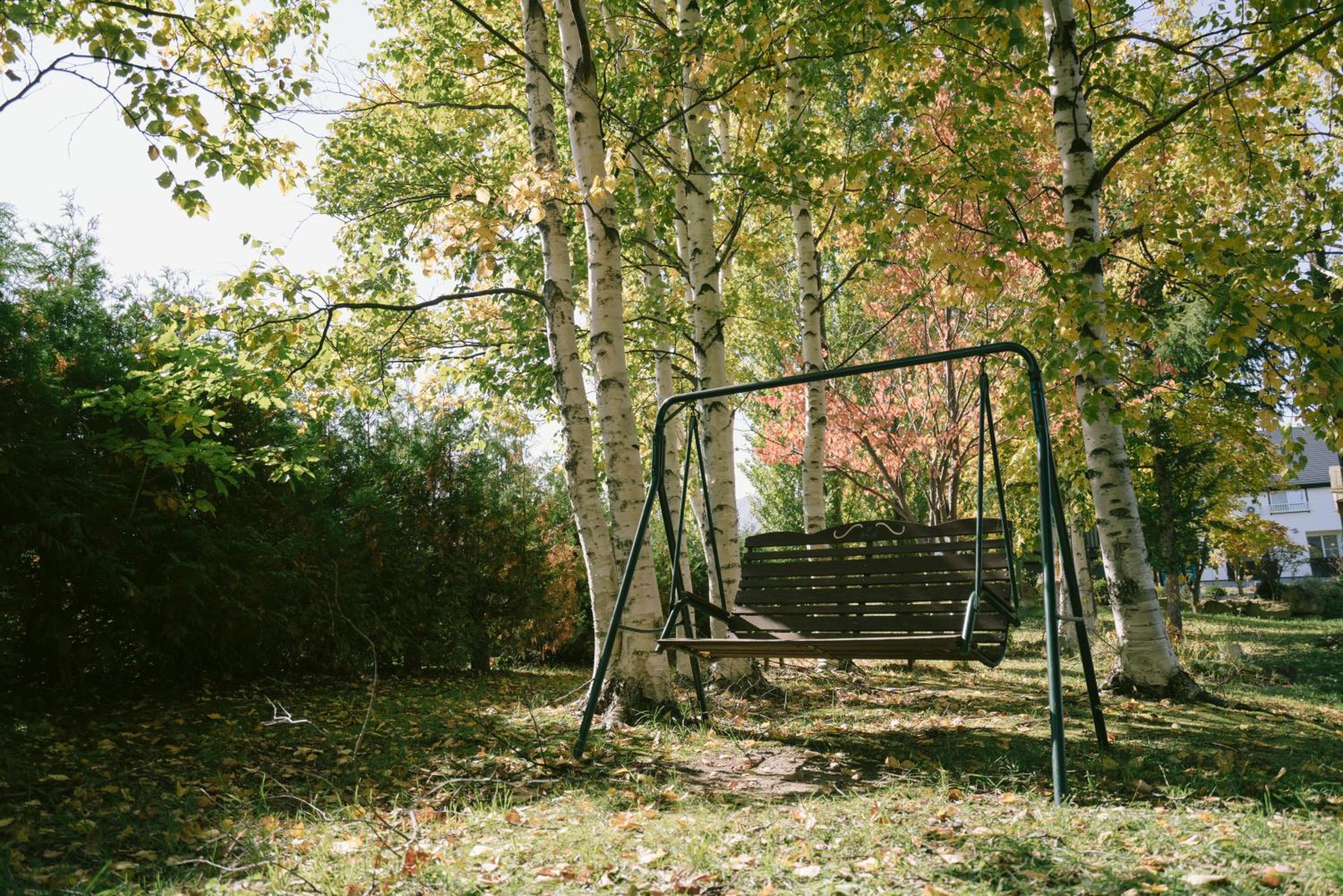 Photo 48
