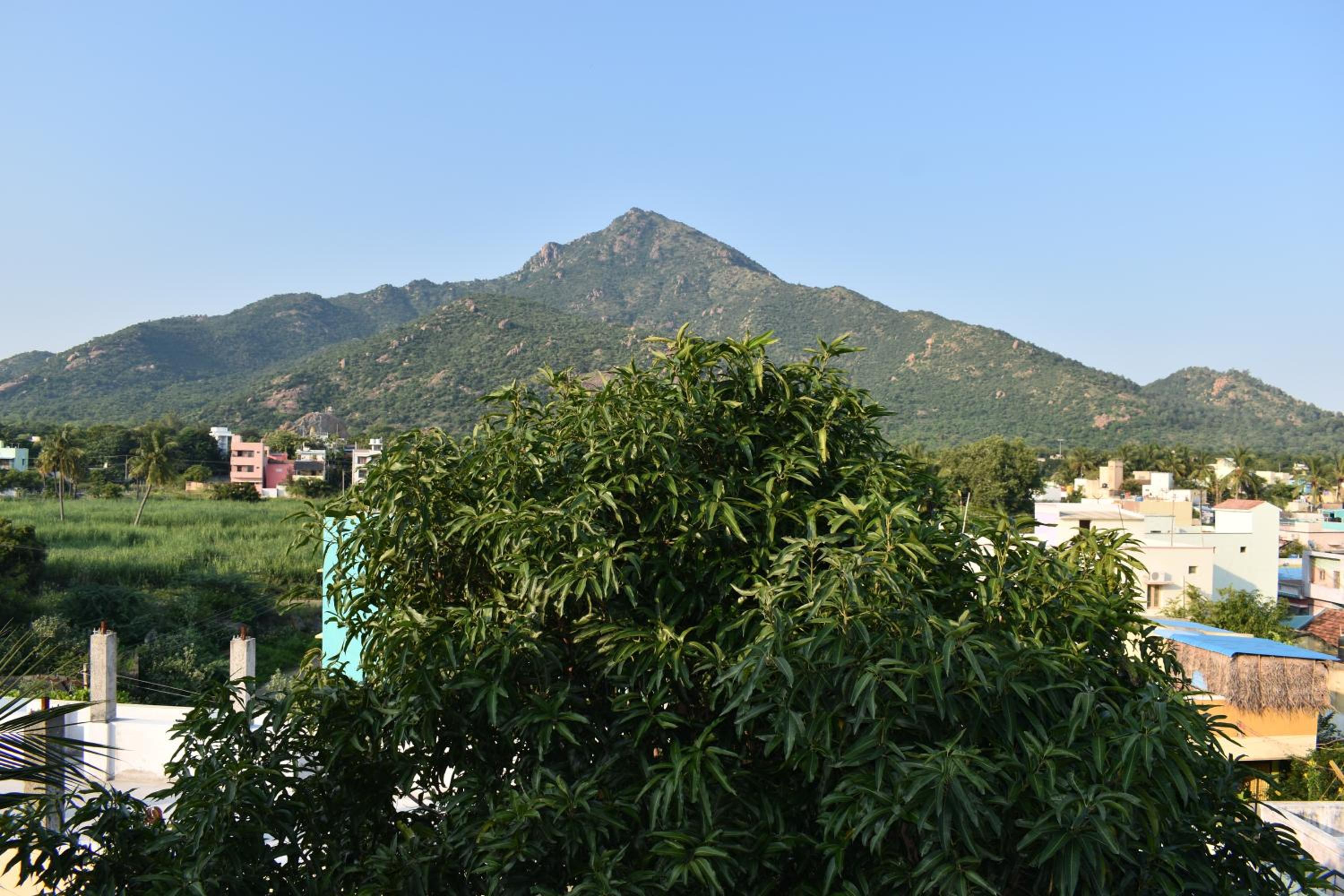 Photo 25