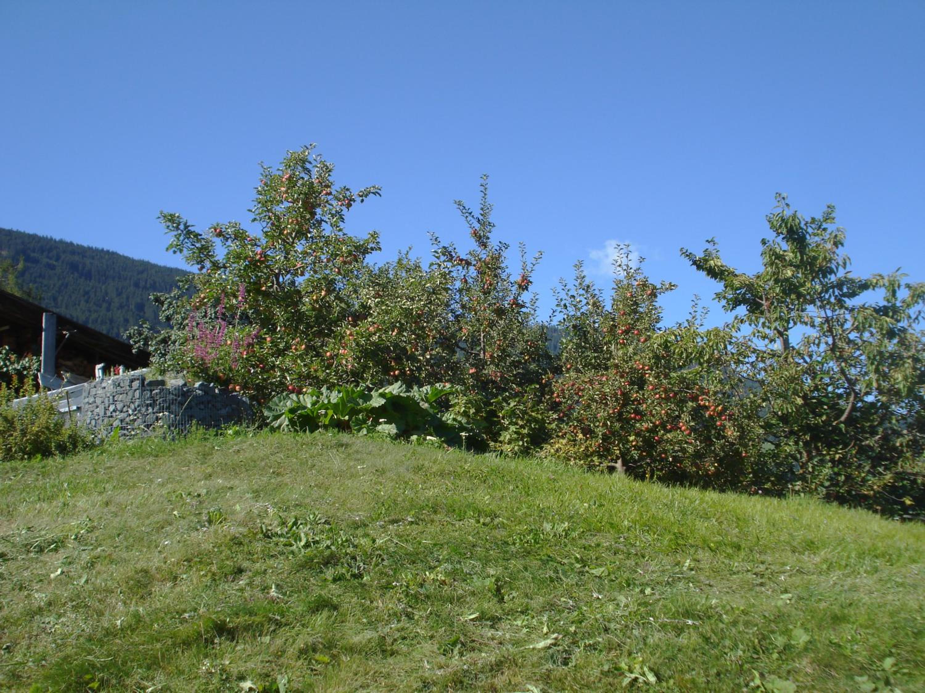 Haus Venetblick