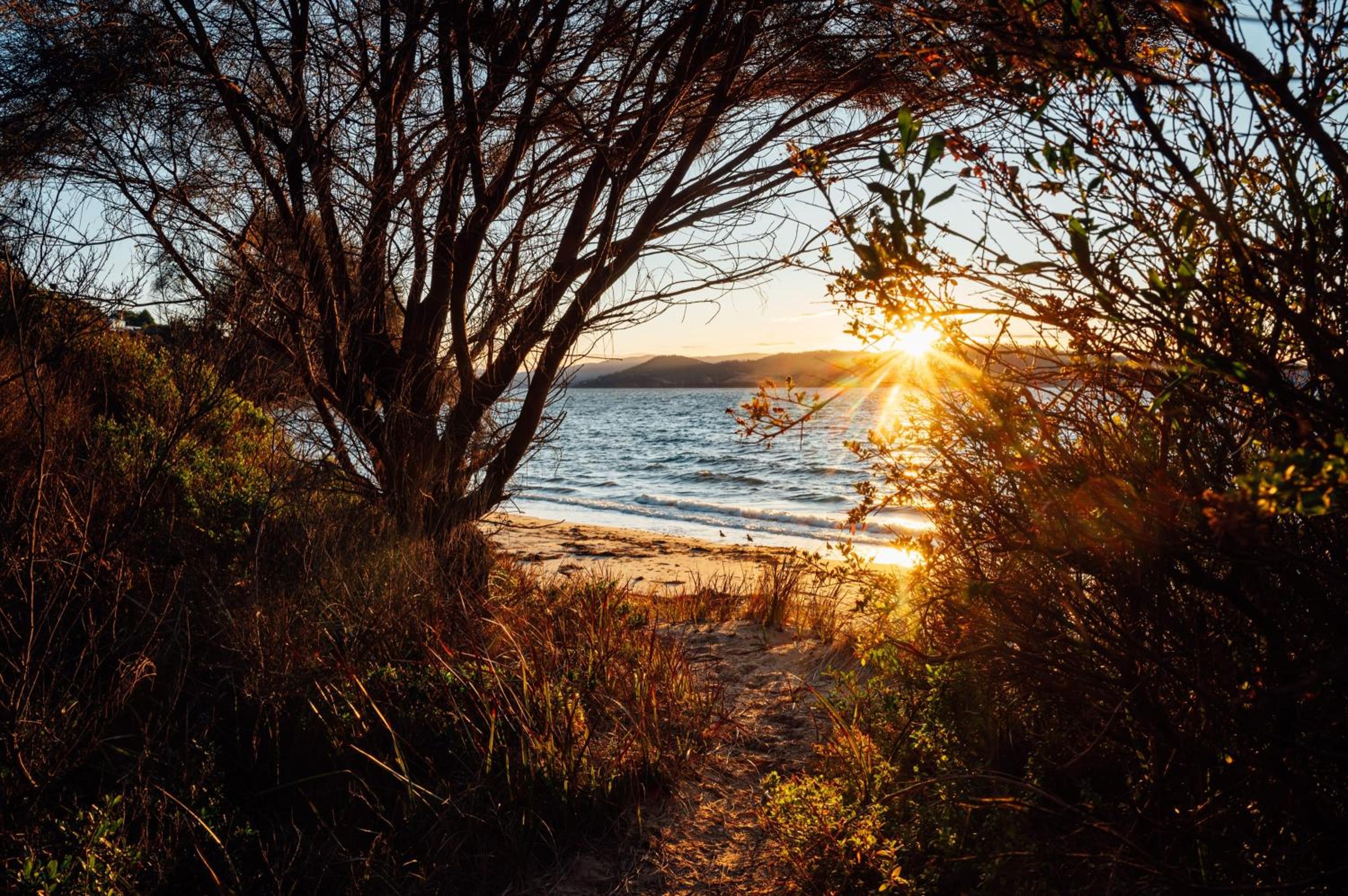 Blessington Beachside Retreat -38km to CBD